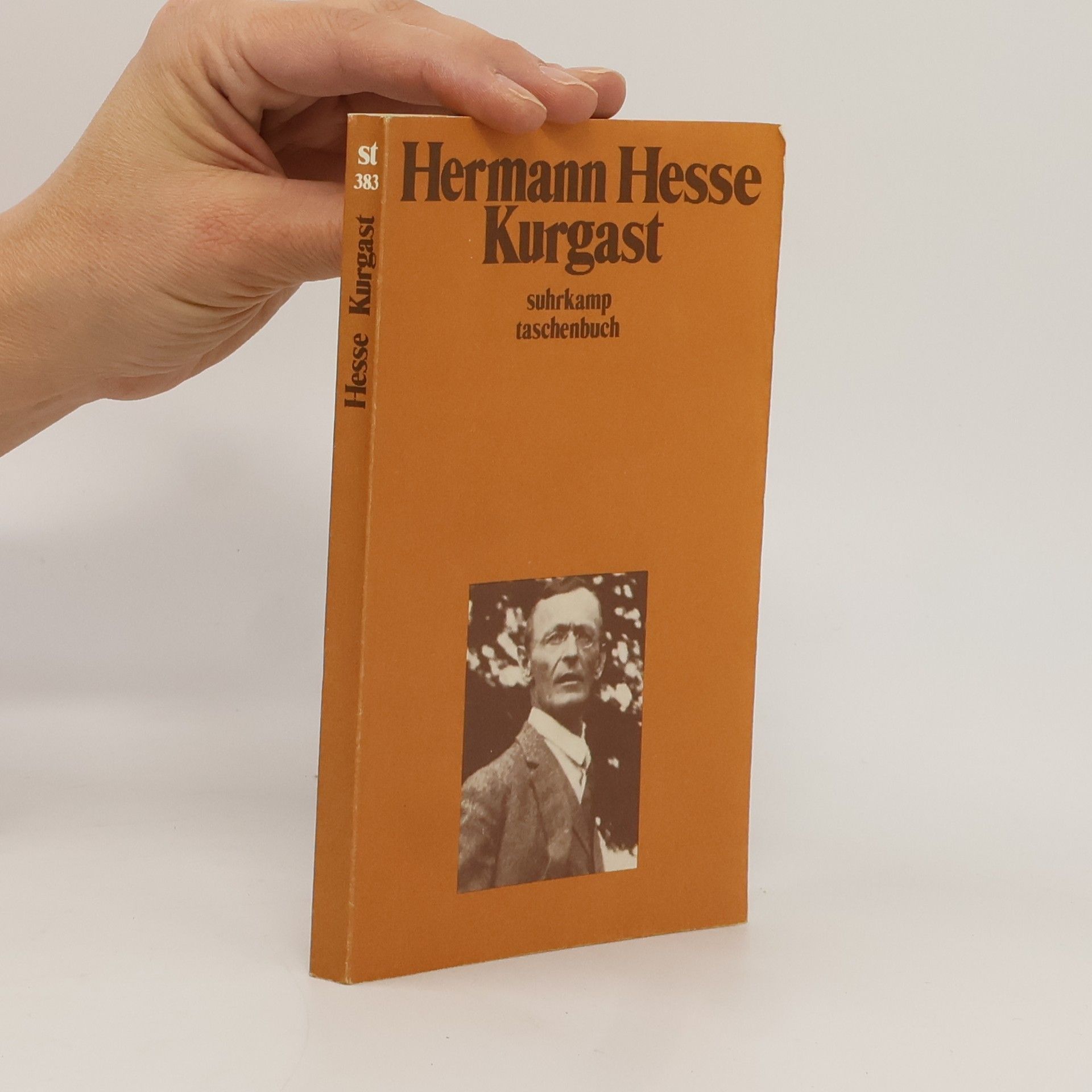 Hermann Hesse Kurgast