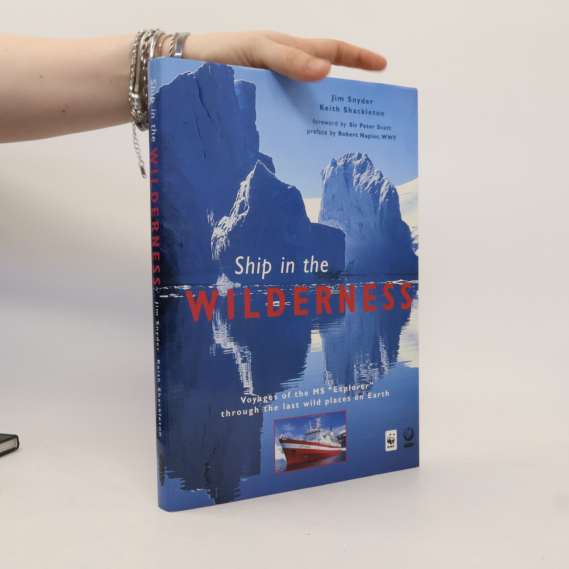 Jim Snyder Ship in the Wilderness