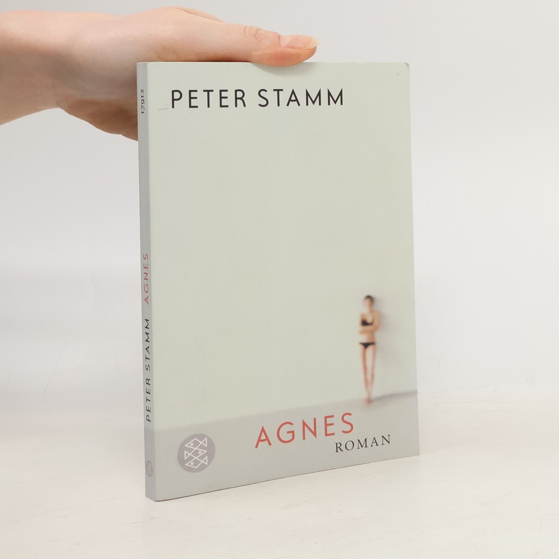Peter Stamm Agnes