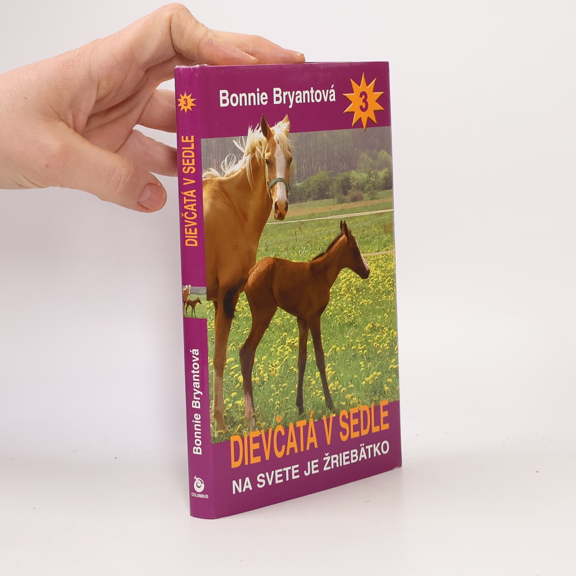 B. B. Hiller Dievčatá v sedle 3