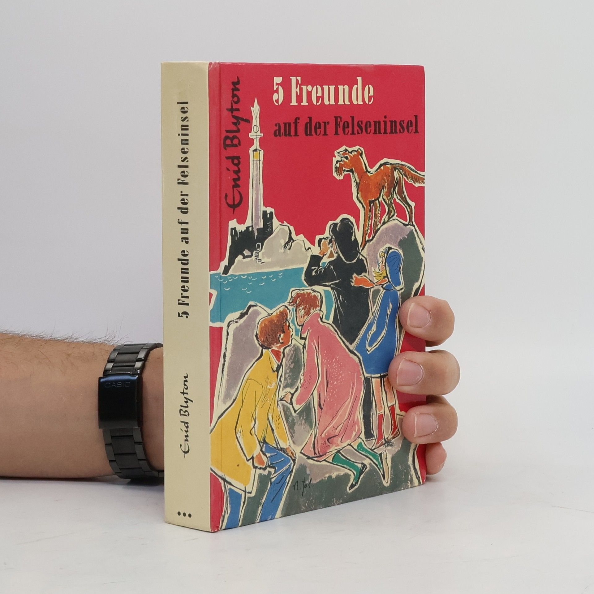 Enid Blyton 5 Freunde auf der Felseninsel