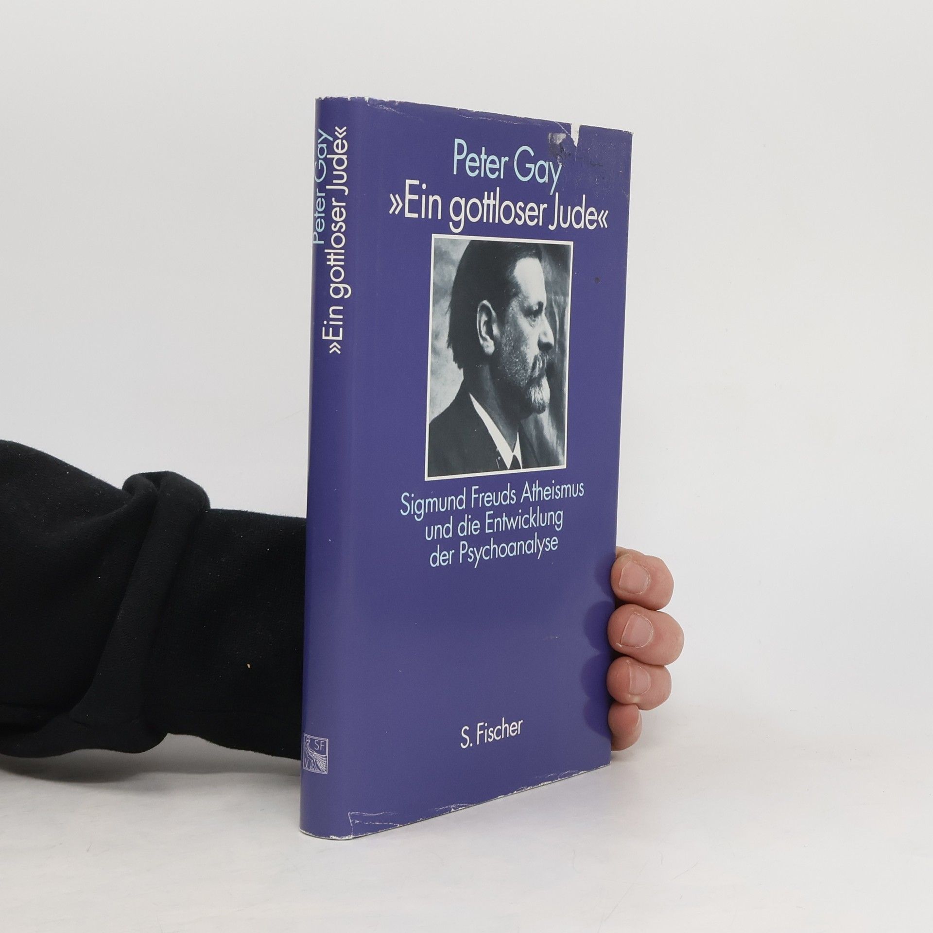 Peter Gay Ein gottloser Jude