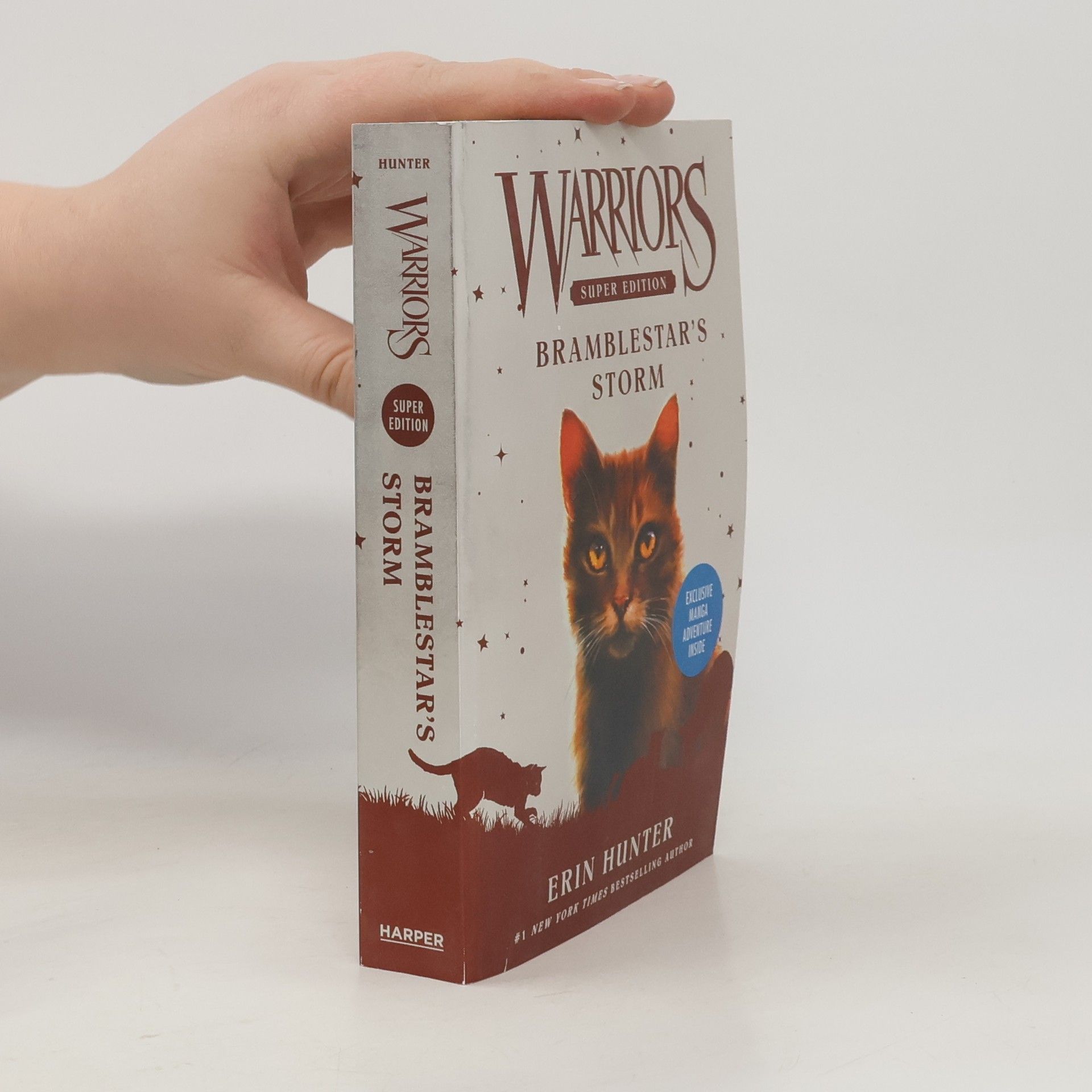 Warriors Super Edition: Bramblestar's Storm