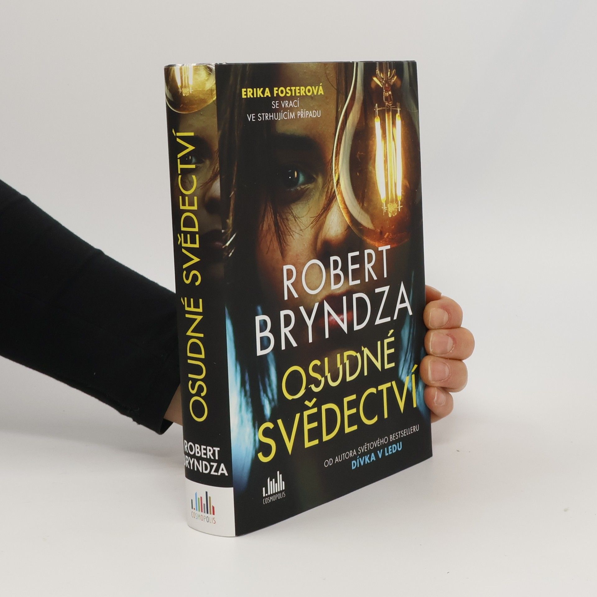 Robert Bryndza Osudné svědectví