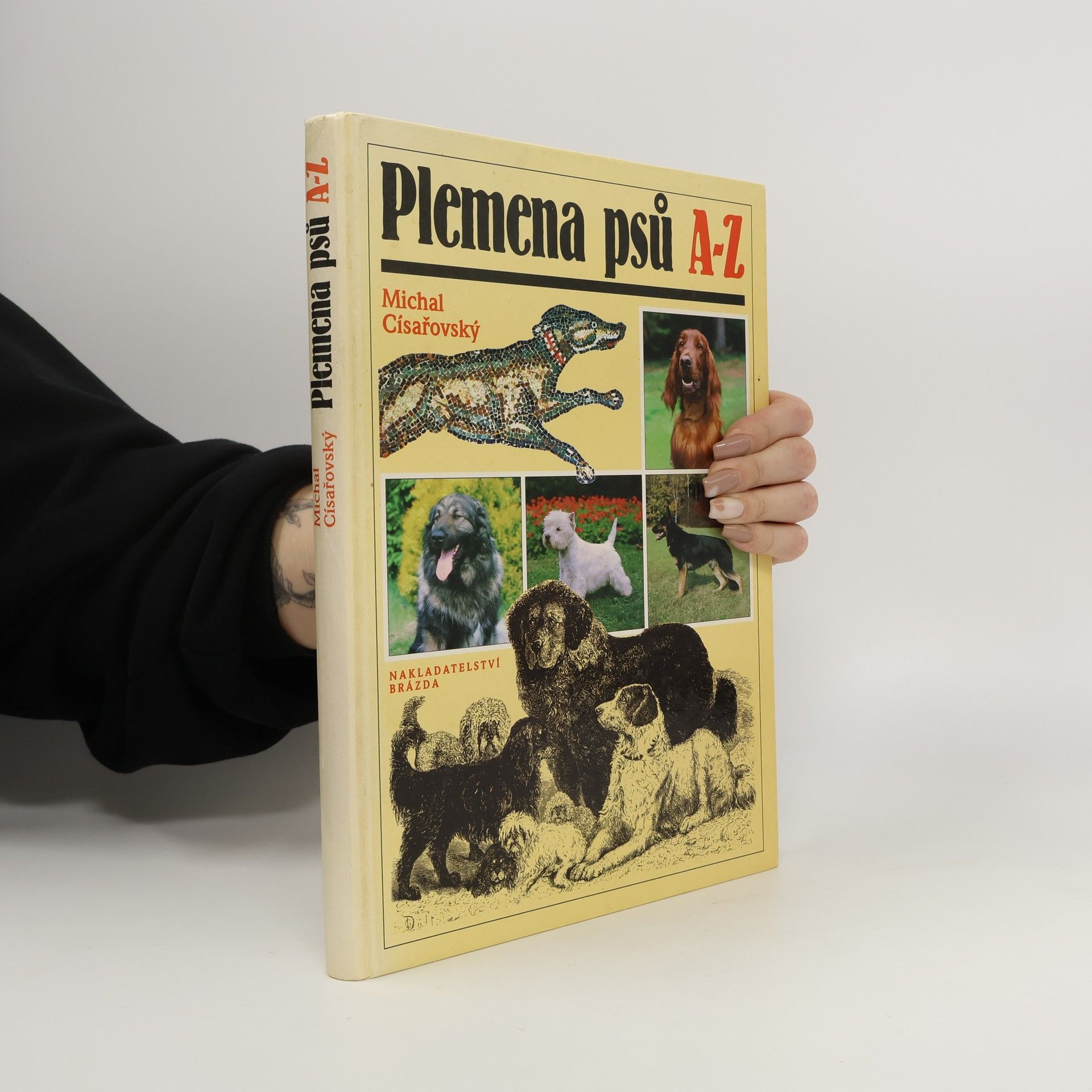Plemena psů A-Z