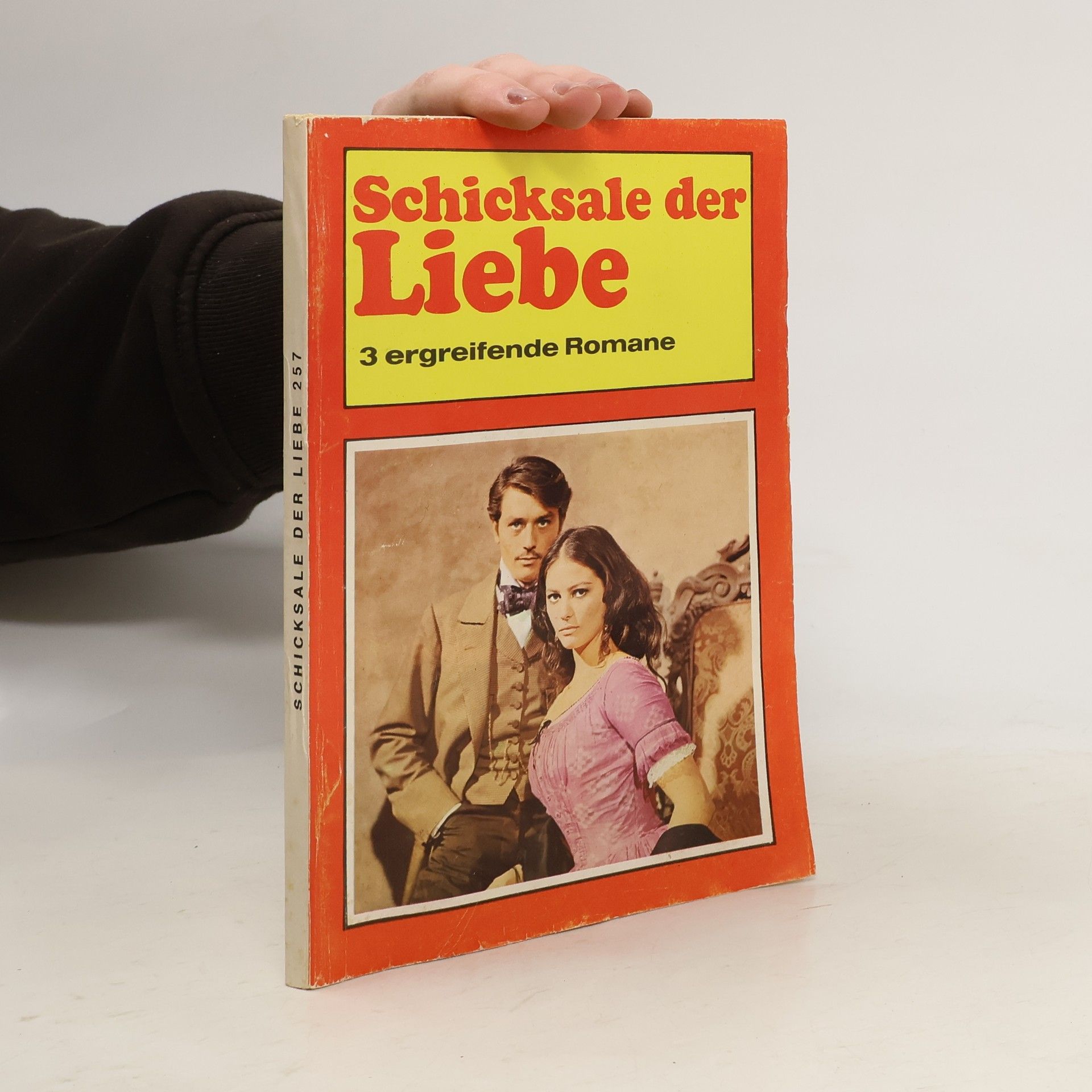 Autorenkollektiv Schicksale der Liebe