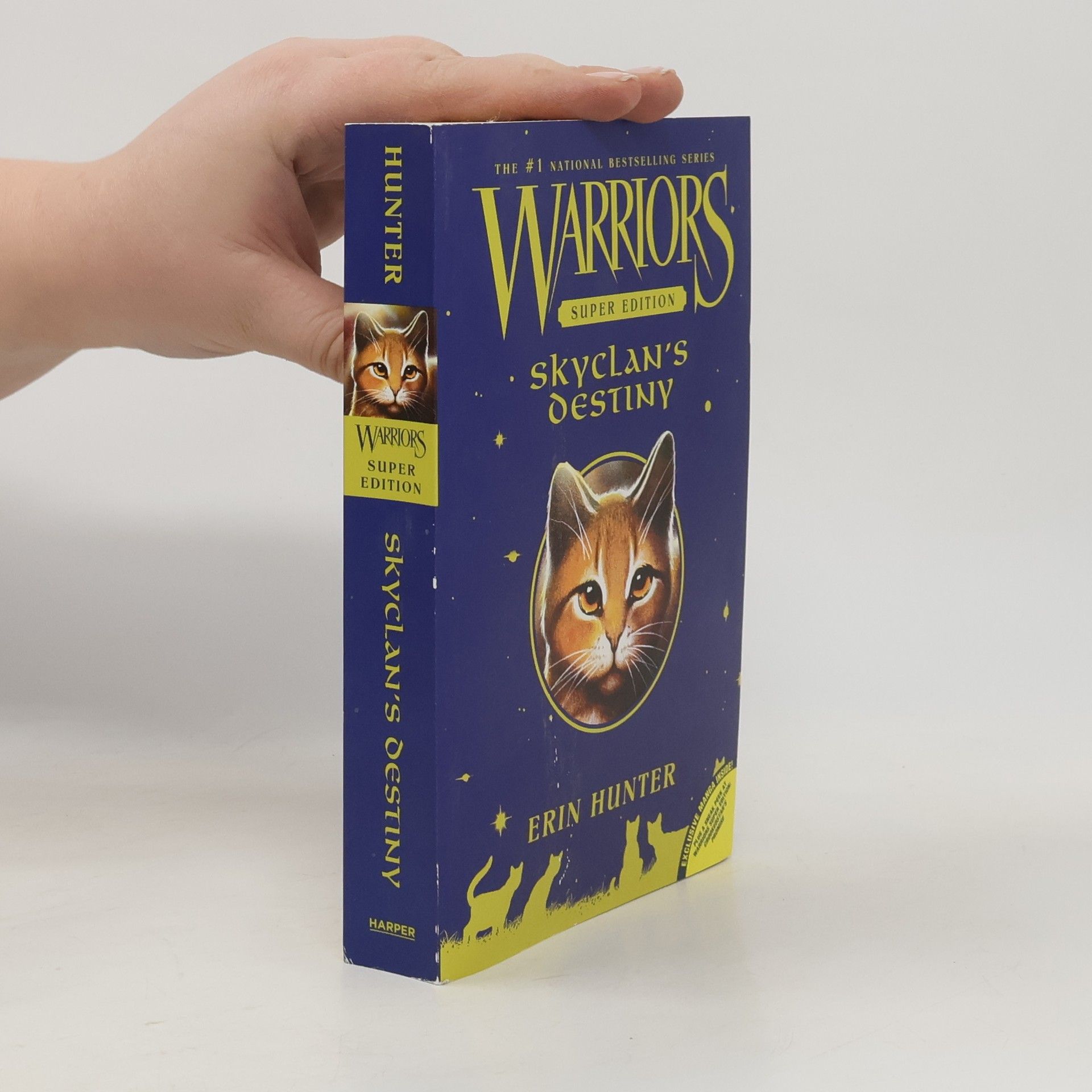 Erin Hunter Warriors, Super Edition, SkyClan's Destiny