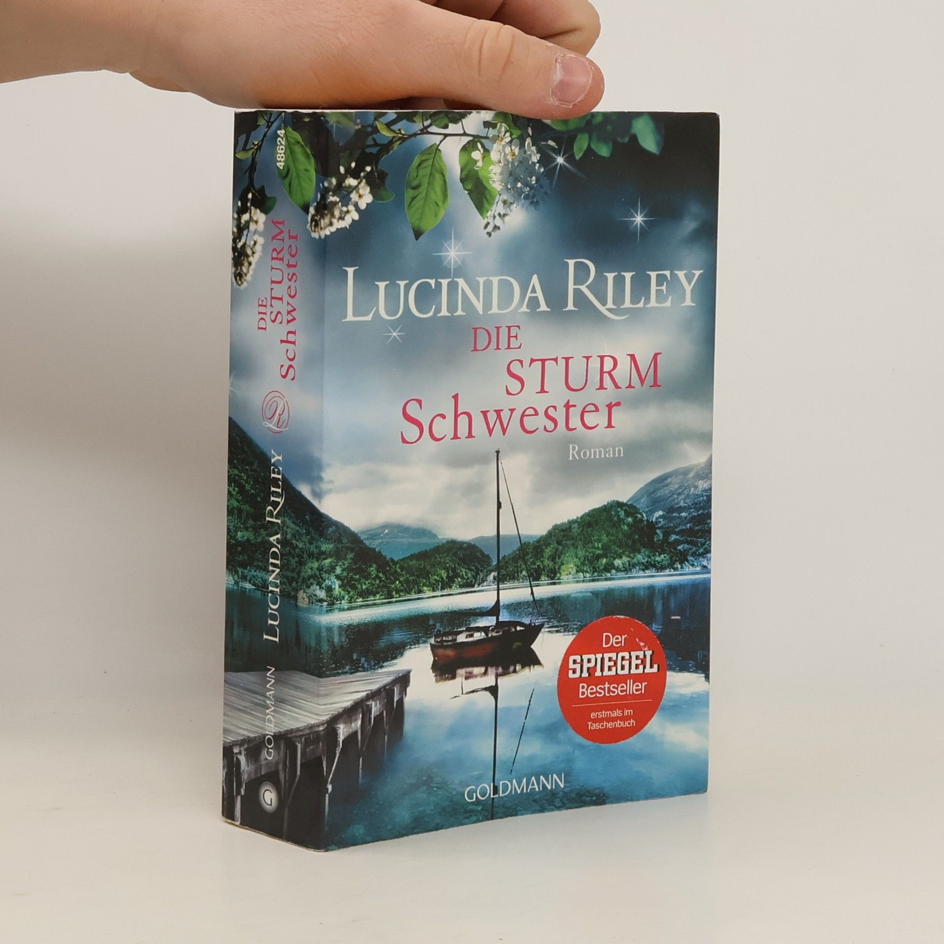 Lucinda Riley Die Sturmschwester