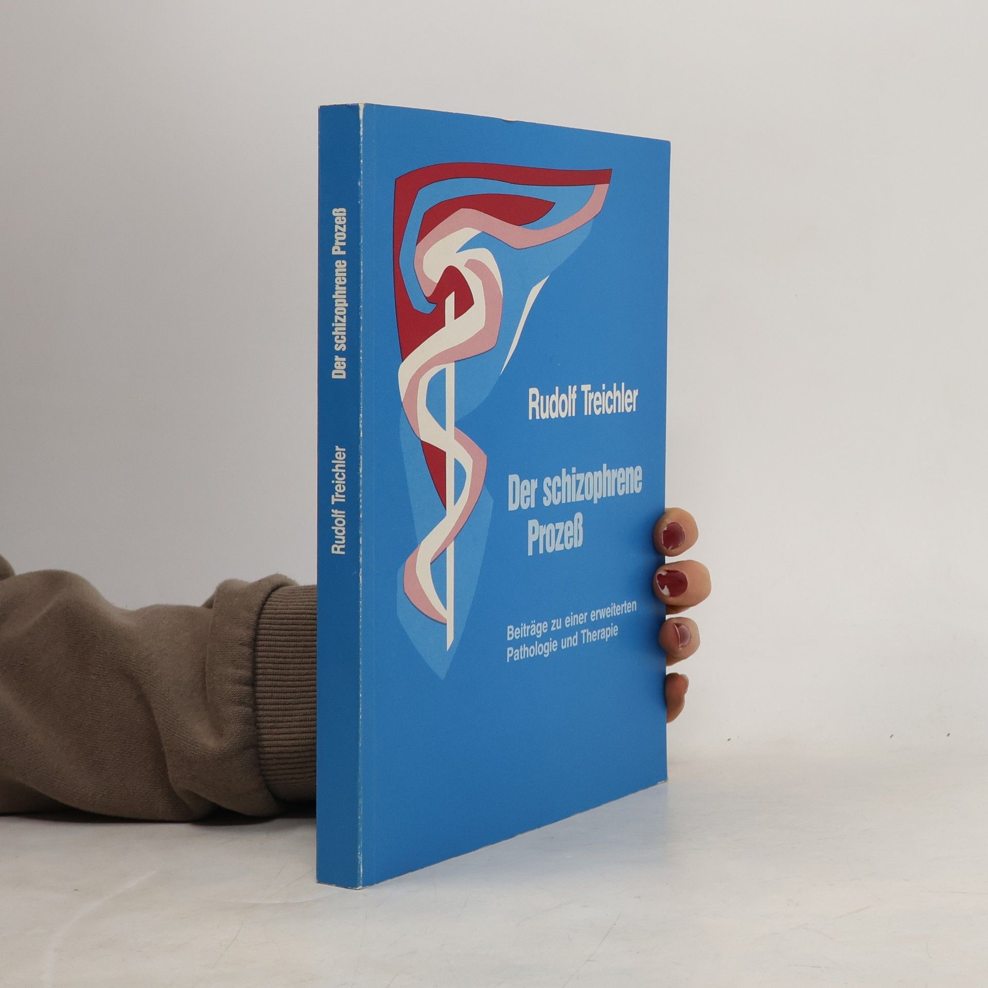 Der schizophrene Prozess