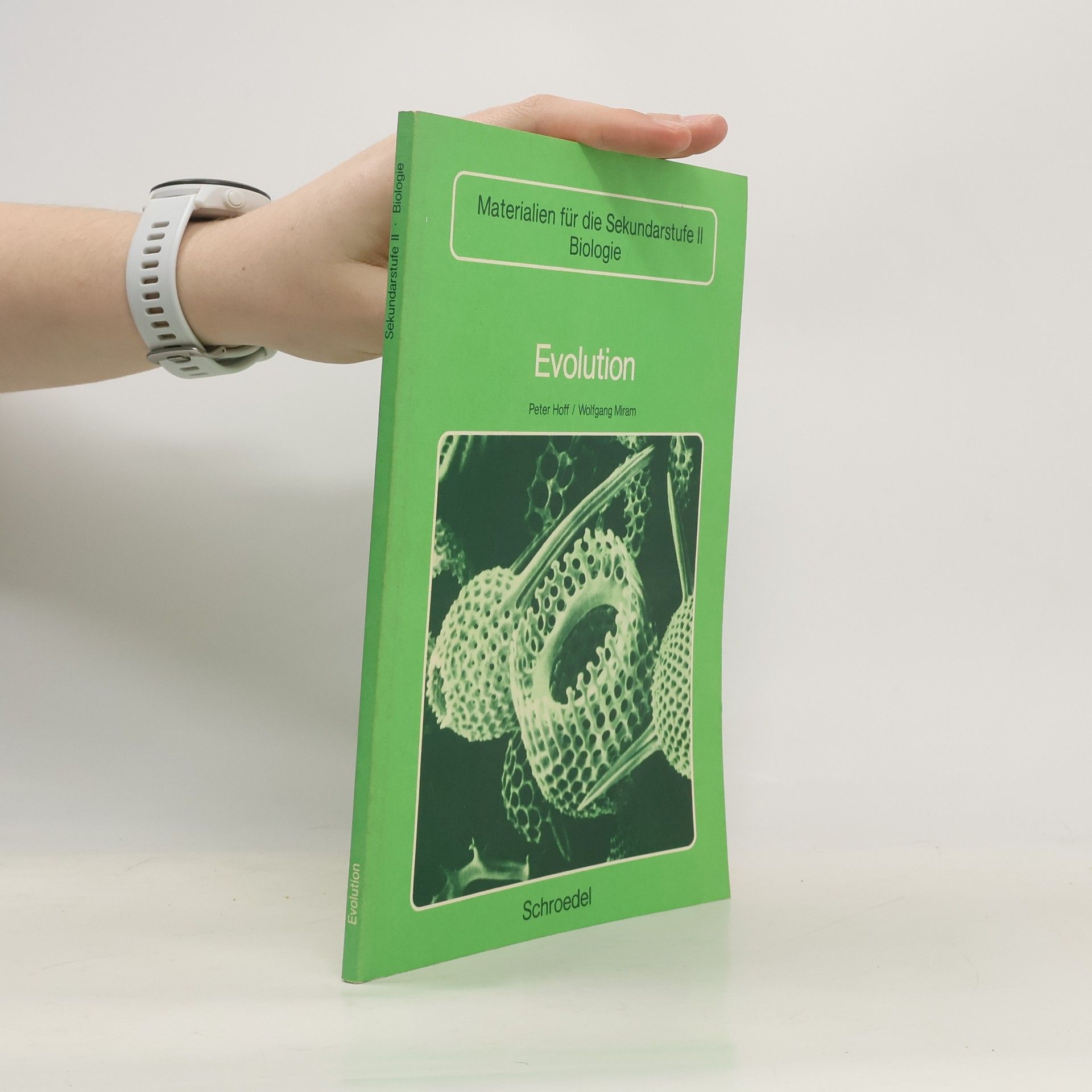 Wolfgang Miram Evolution