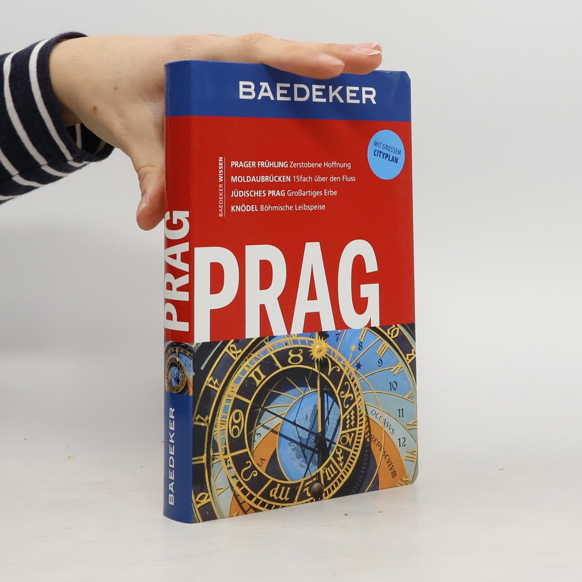 Dr. Madeleine Reincke Prag