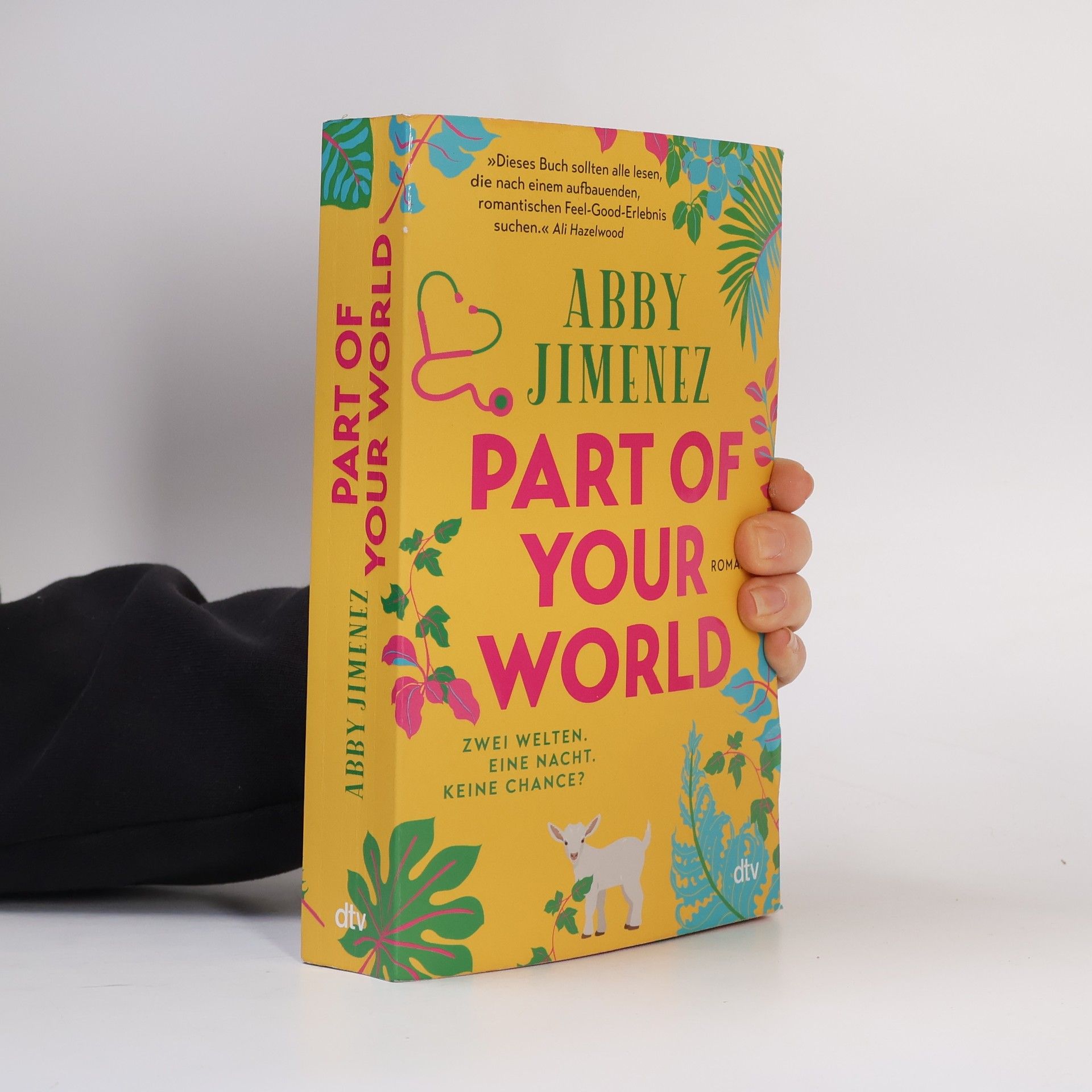 Abby Jimenez Part of Your World
