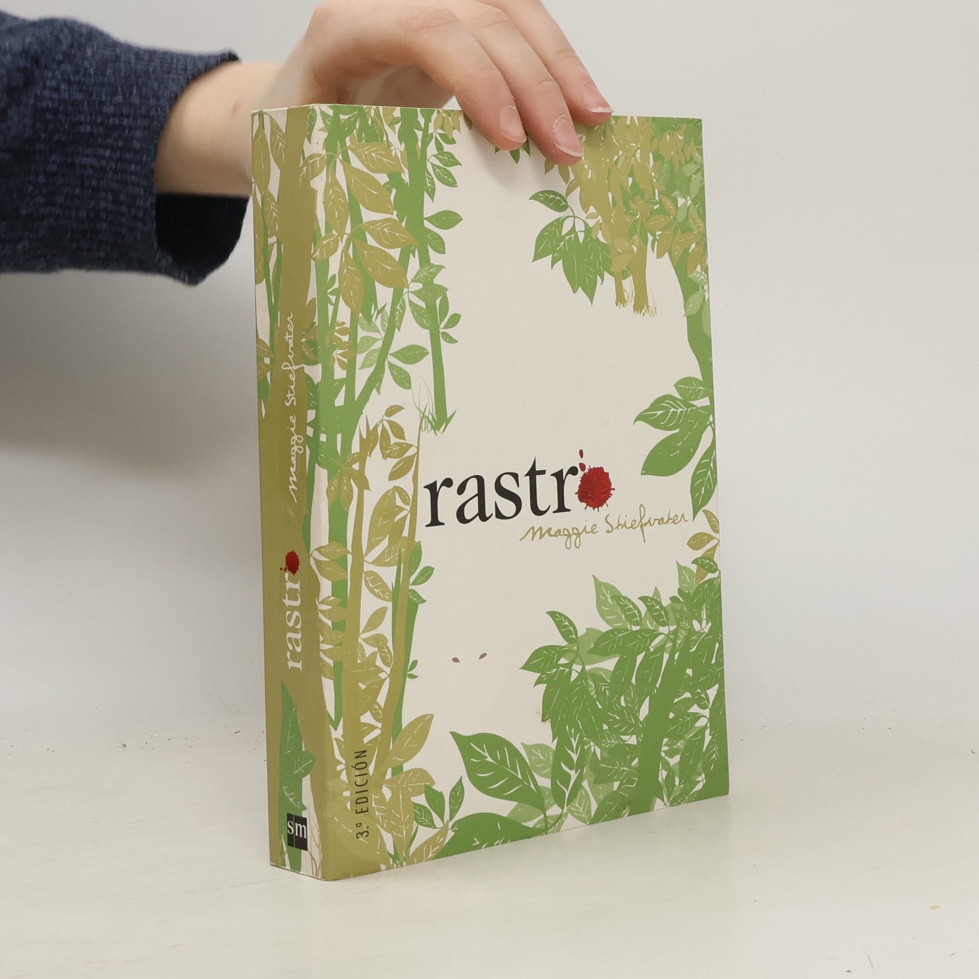 Maggie Stiefvater Rastro