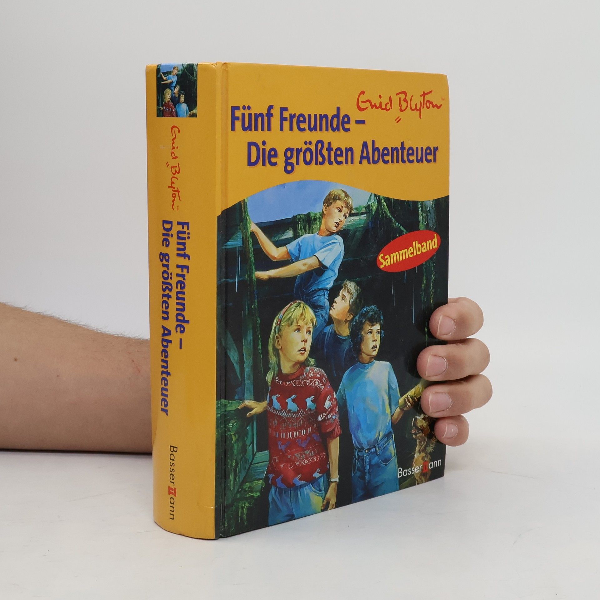 Enid Blyton Fünf Freunde - die größten Abenteuer