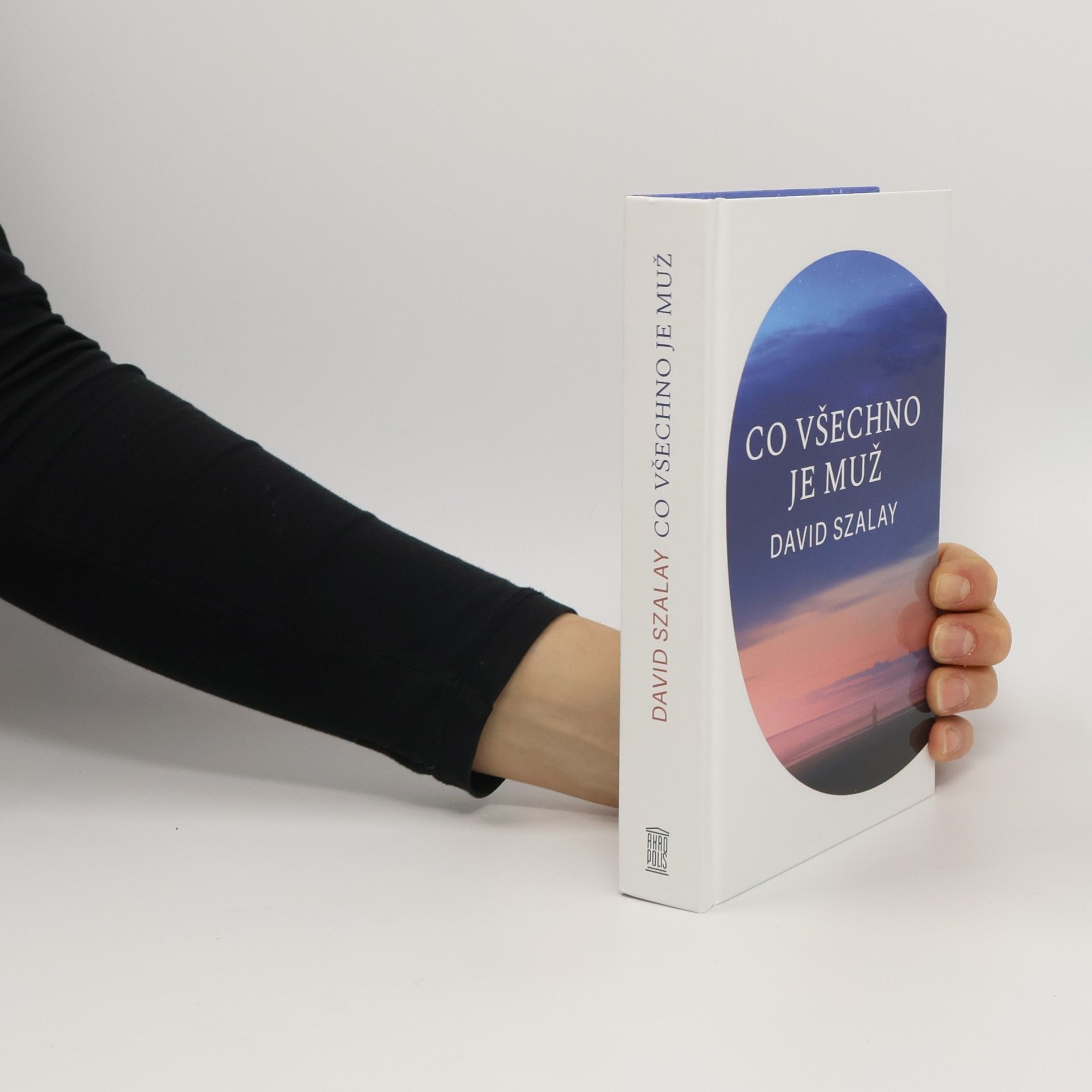 David Szalay Co všechno je muž