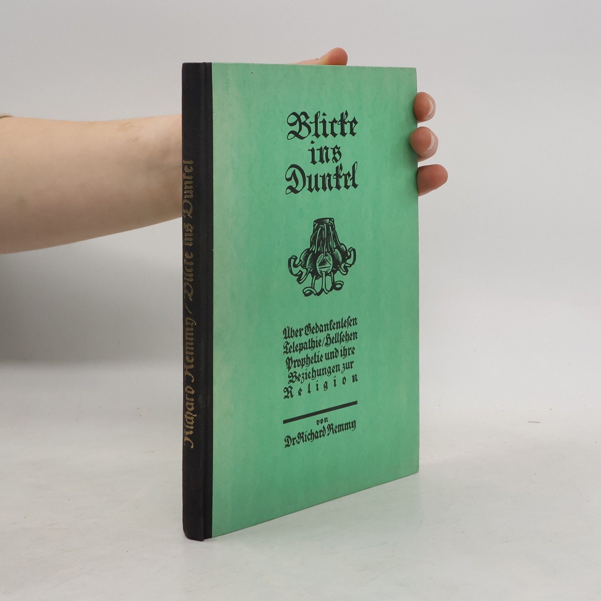 Richard Remmy Blicke ins Dunkel