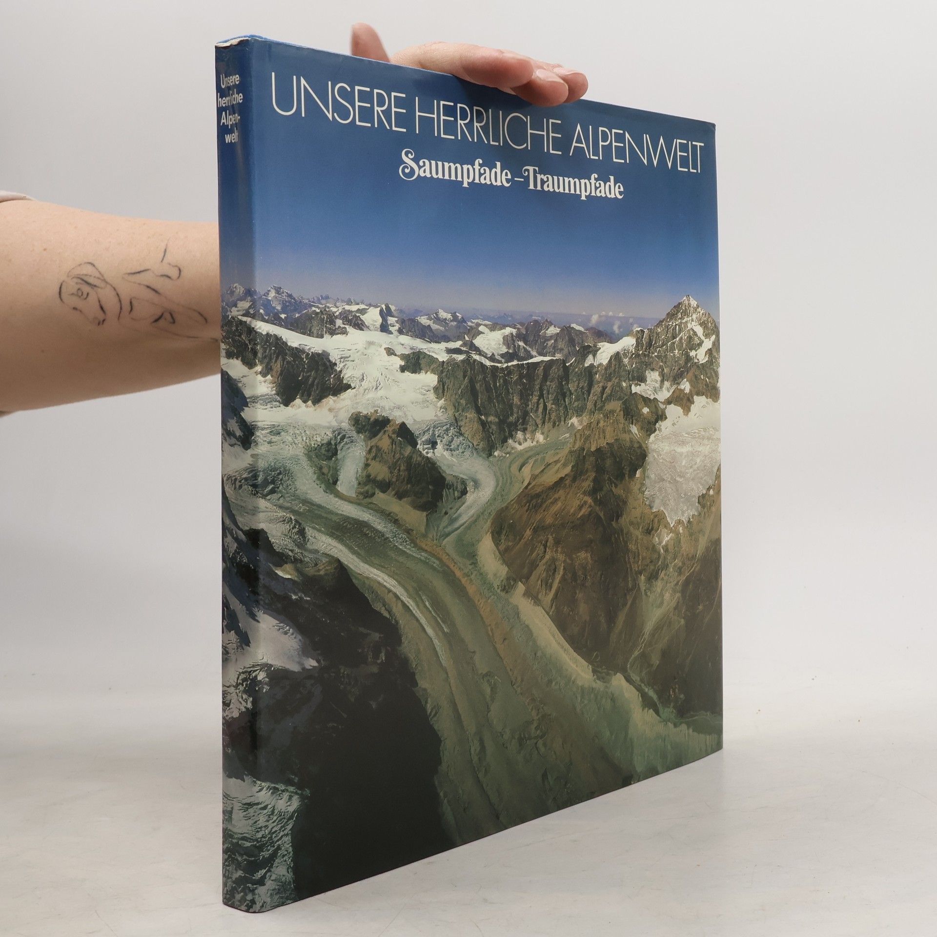 Mürra Zabel Unsere herrliche Alpenwelt