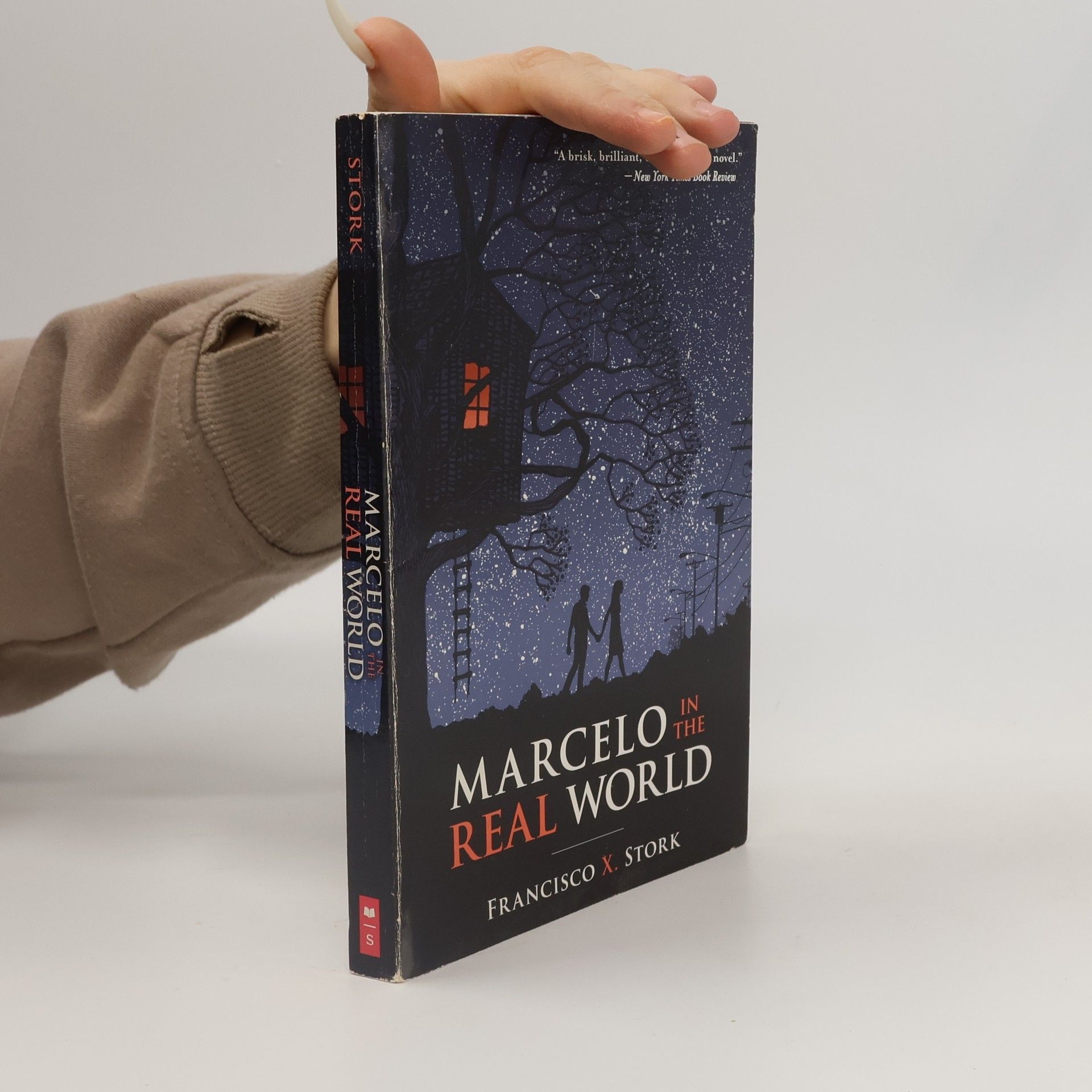 Marcelo in the Real World