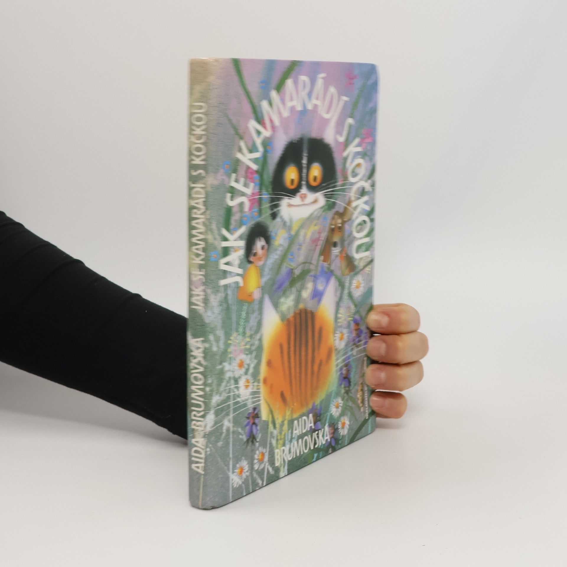 Aida Brumovská Jak se kamarádí s kočkou