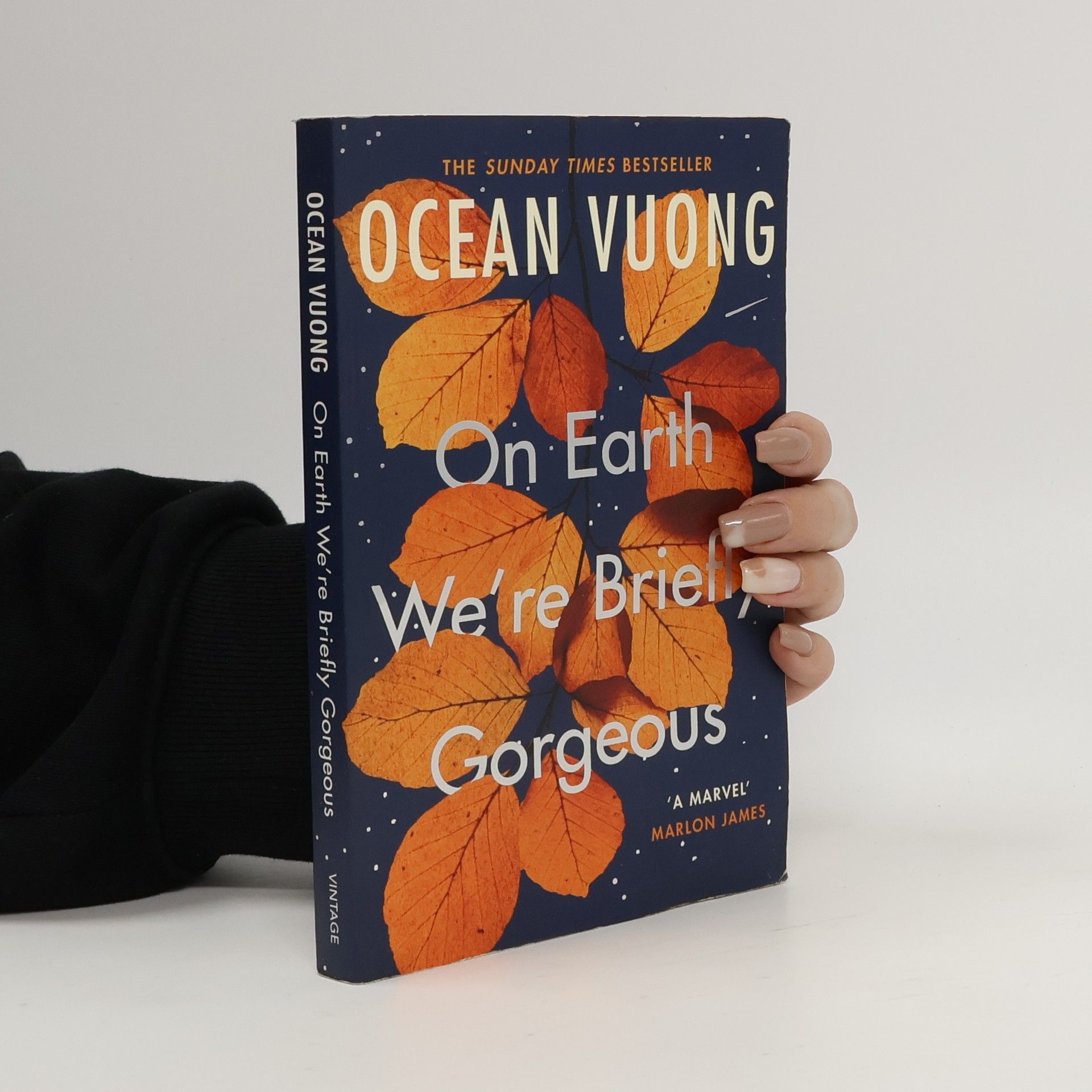 Ocean Vuong On Earth We're Briefly Gorgeous