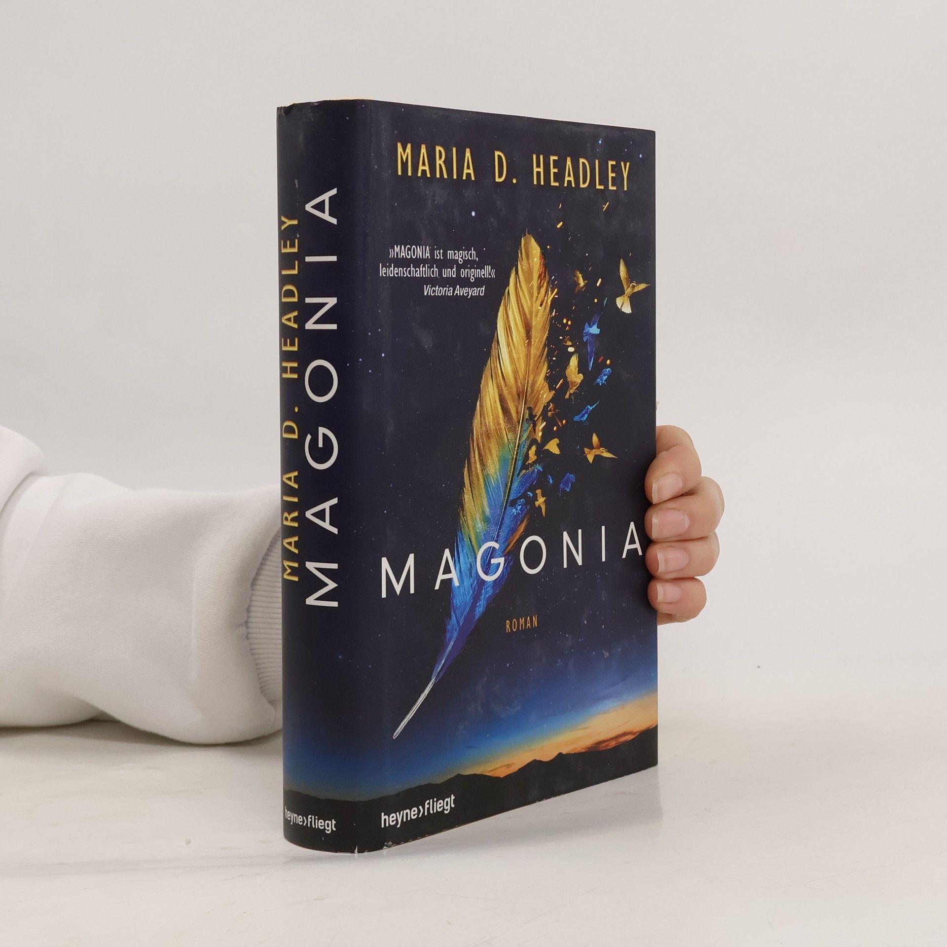 Maria Dahvana Headsley Magonia