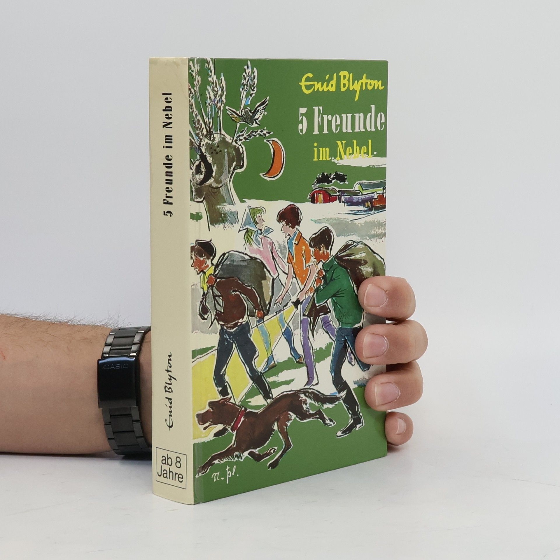 Enid Blyton 5 Freunde im Nebel