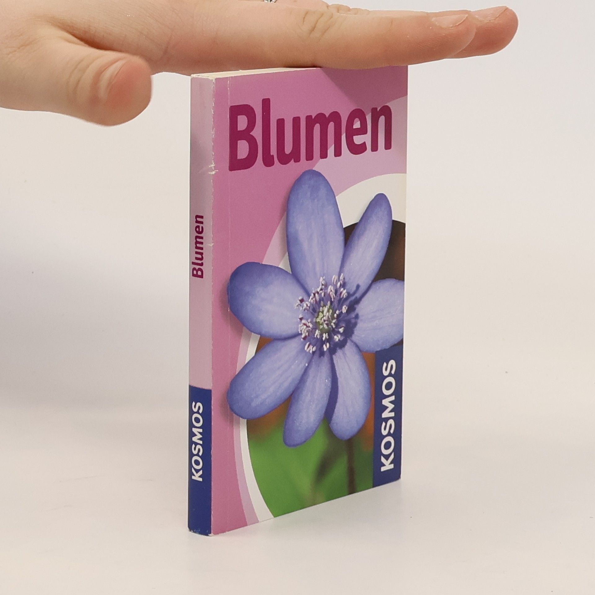 Bärbel Oftring Blumen
