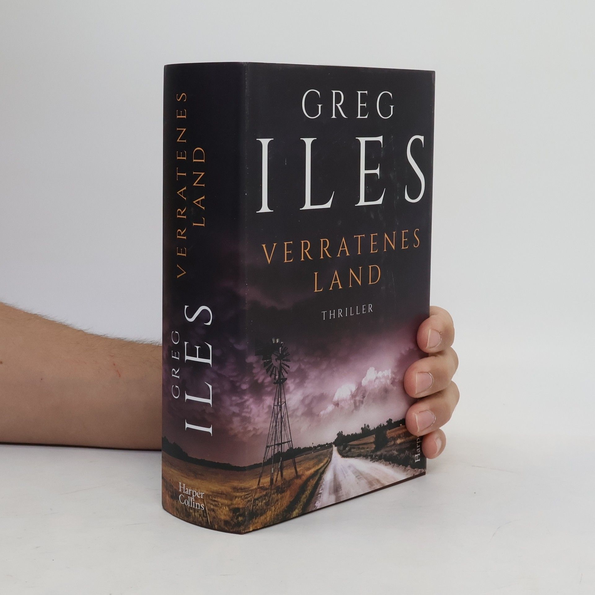 Greg Iles Verratenes Land