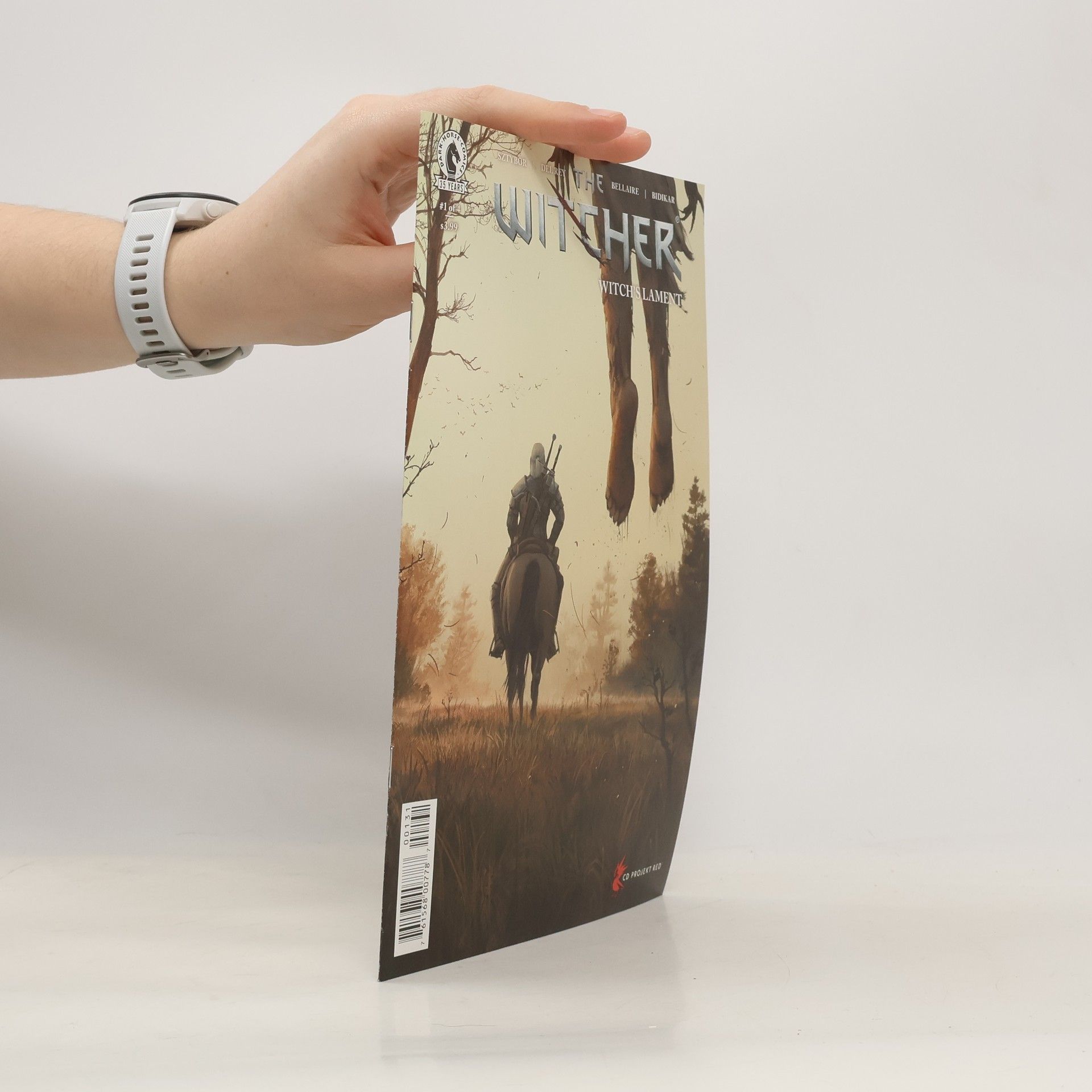 Bartosz Sztybor The Witcher: Witch's Lament 3