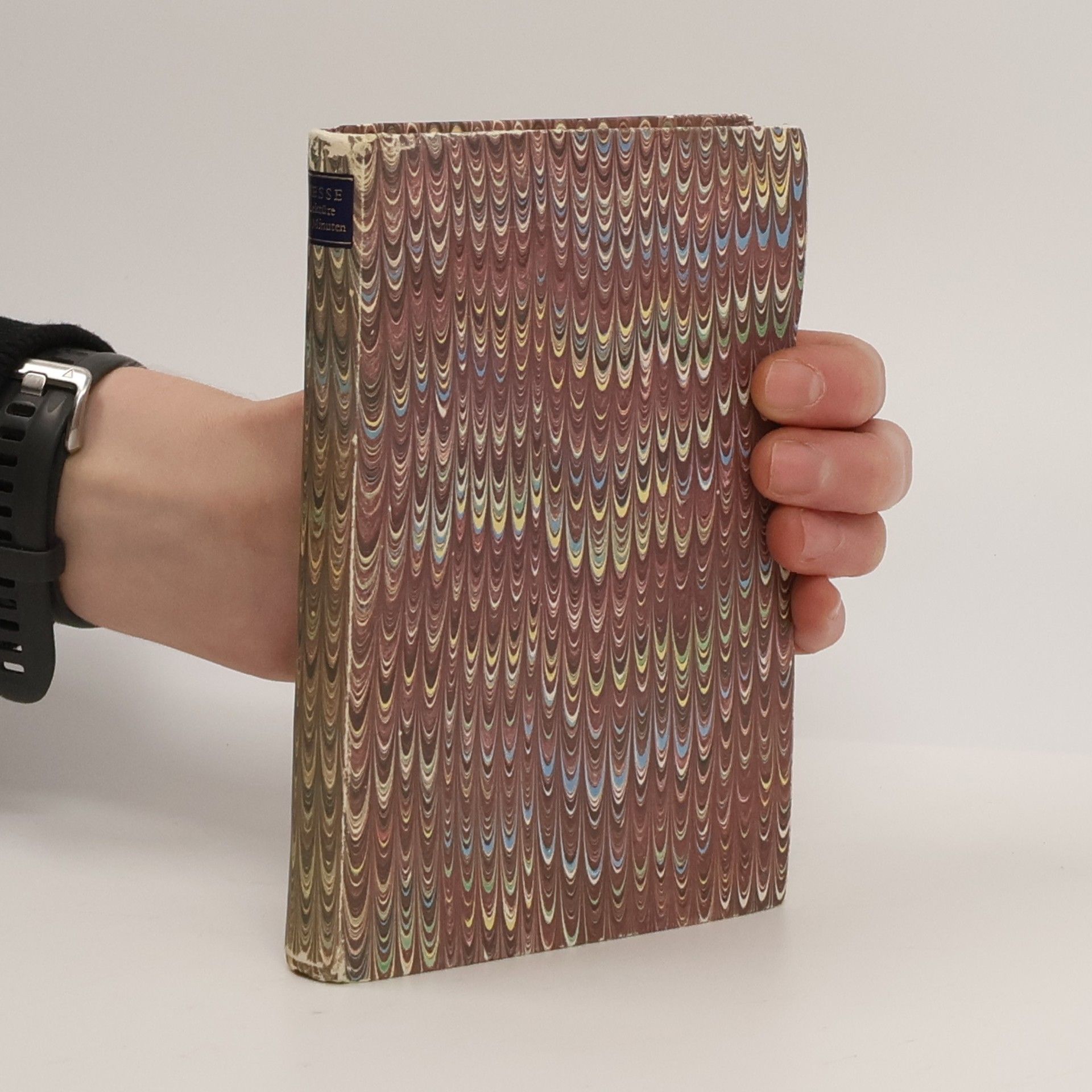 Hermann Hesse Lektüre für Minuten