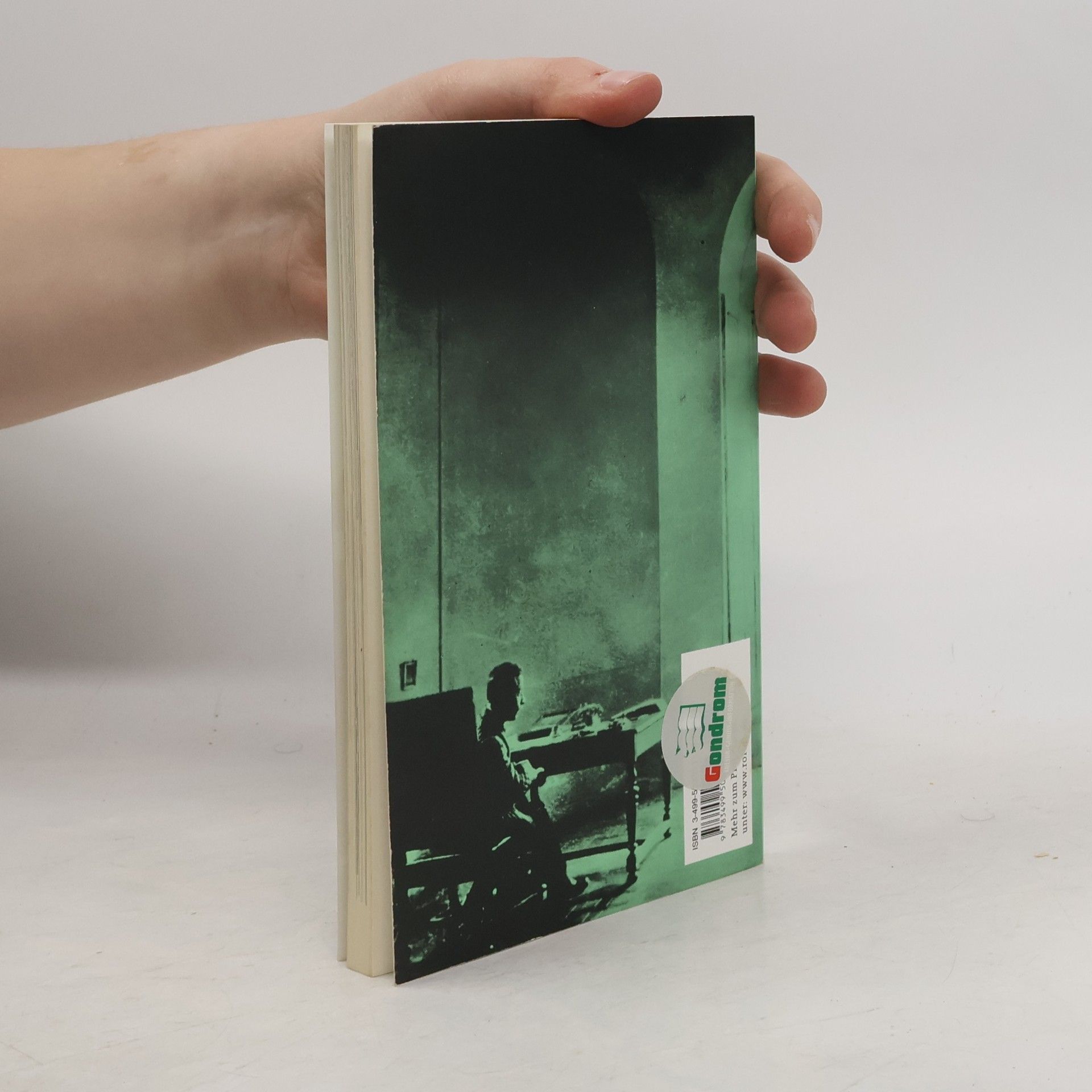 Hans Egon Holthusen Rainer Maria Rilke in Selbstzeugnissen und Bilddokumenten