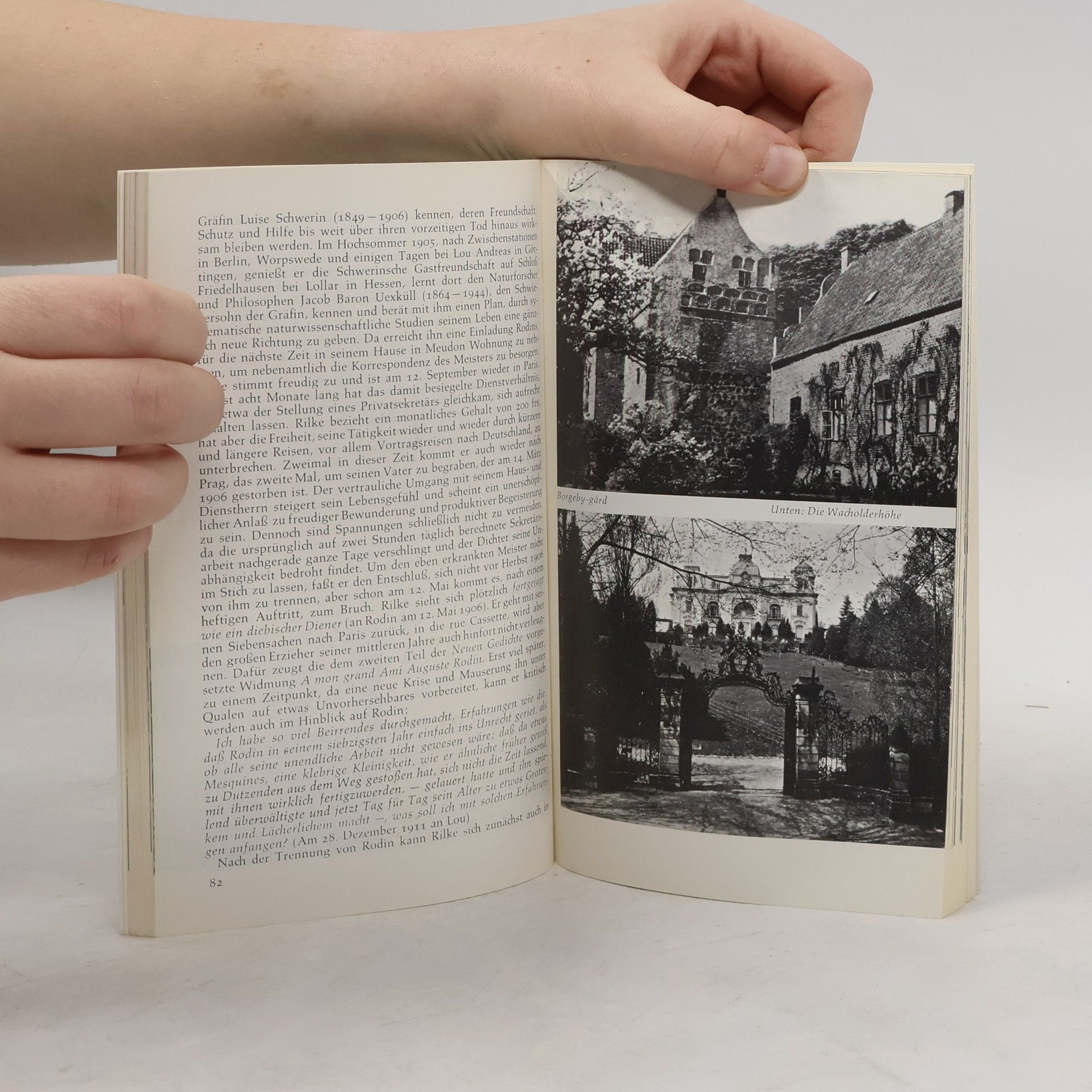 Hans Egon Holthusen Rainer Maria Rilke in Selbstzeugnissen und Bilddokumenten