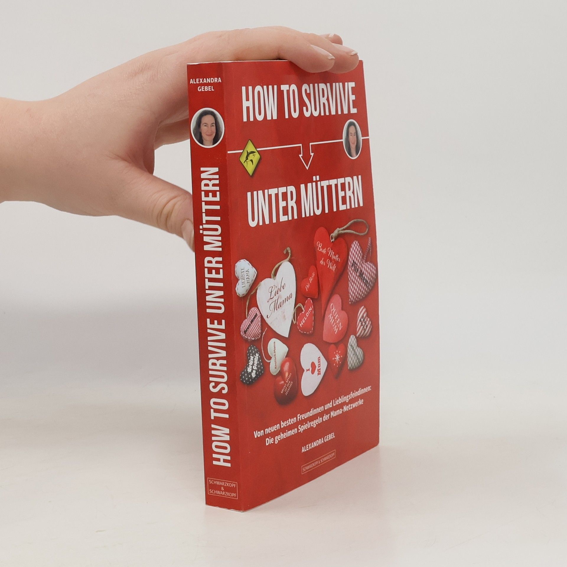 Alexandra Gebel How To Survive unter Müttern
