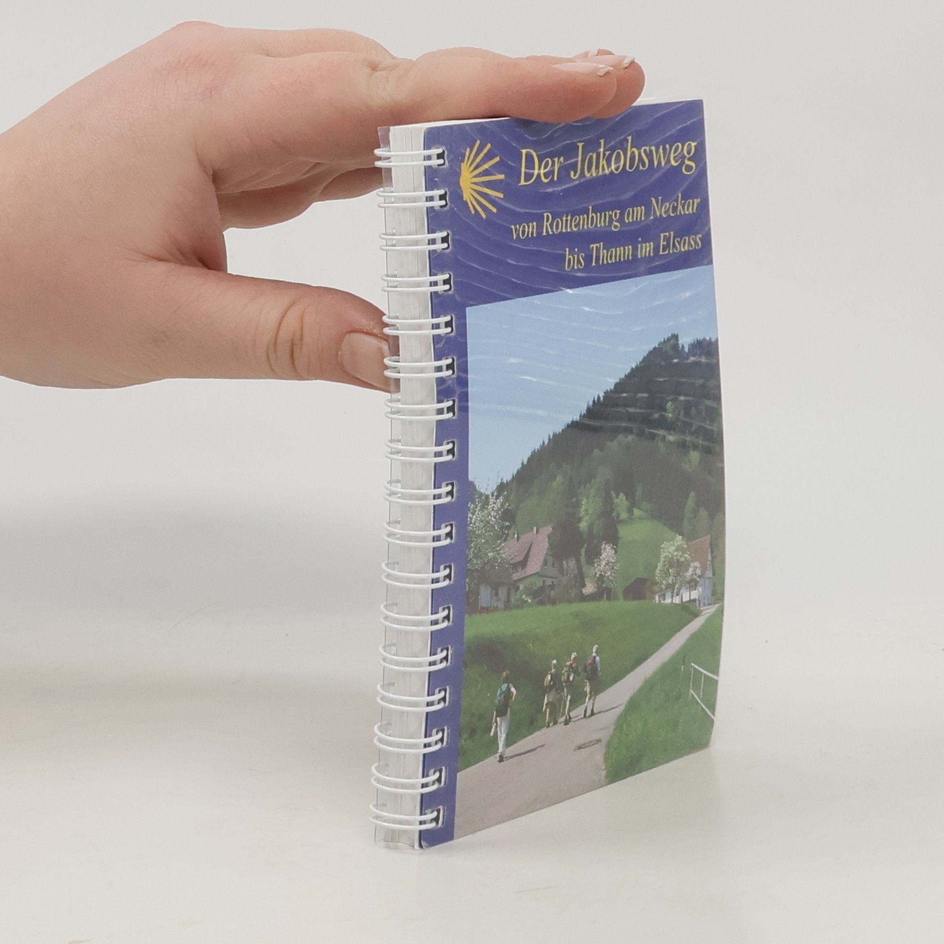 Hans-Jörg Bahmüller Der Jakobsweg von Rottenburg am Neckar bis Thann im Elsass