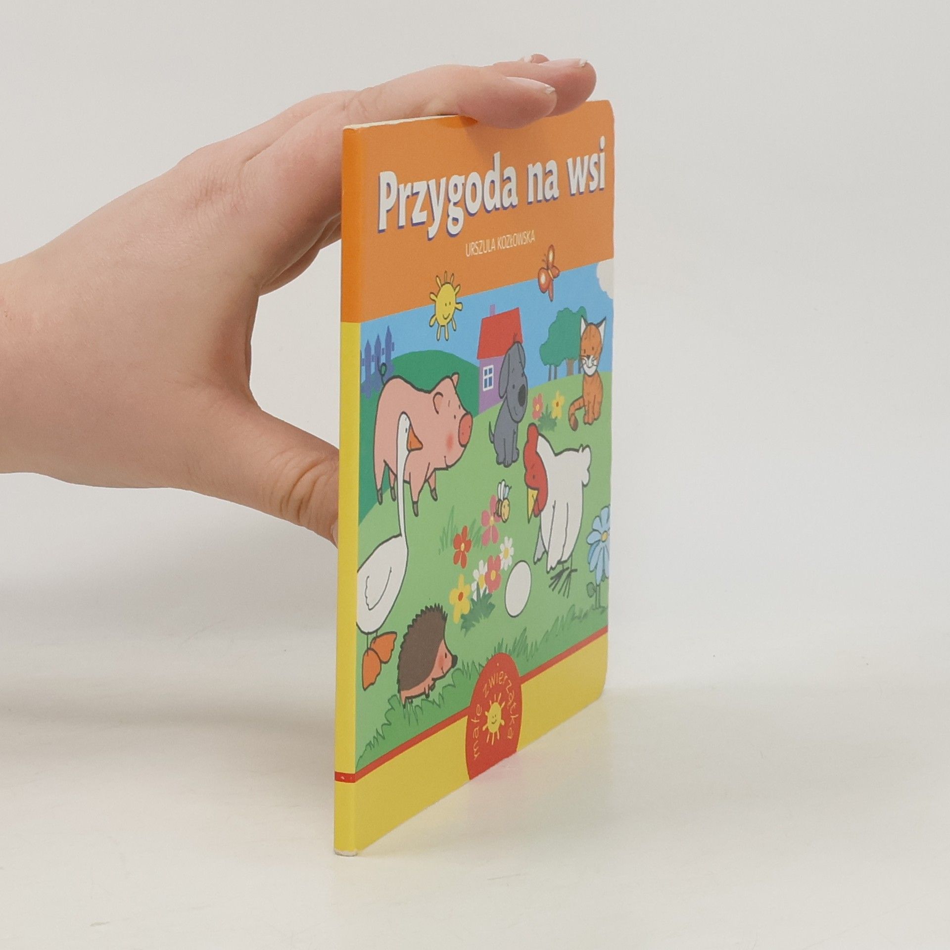 Urszula Kozlovwska Przygoda na wsi