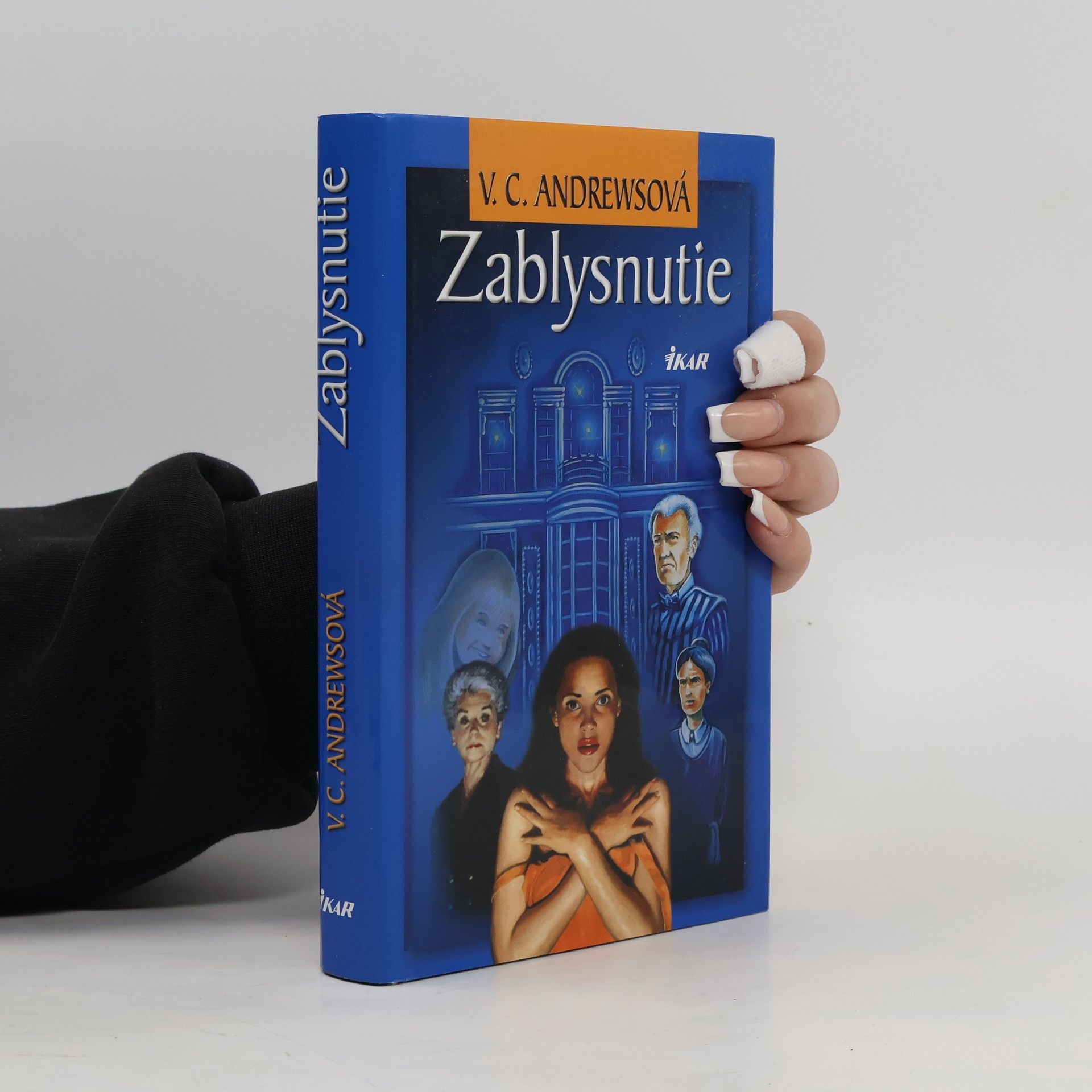 V. C. Andrews Zablysnutie