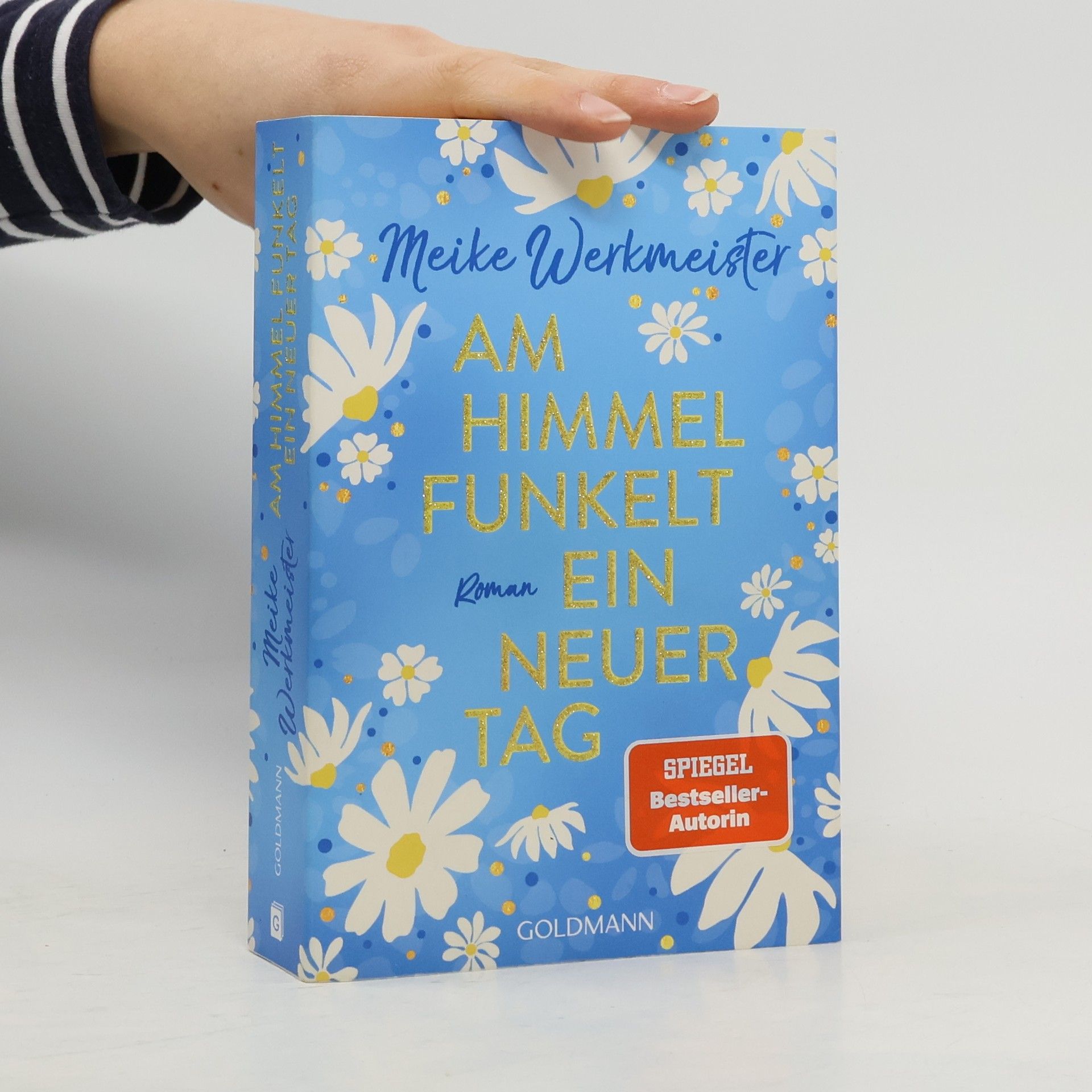 Meike Werkmeister Am Himmel funkelt ein neuer Tag