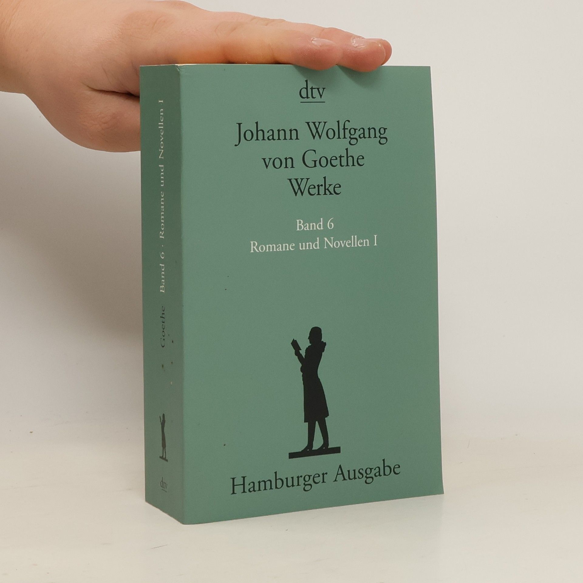 Johann Wolfgang von Goethe Werke. Band 6. Romane und Novellen I