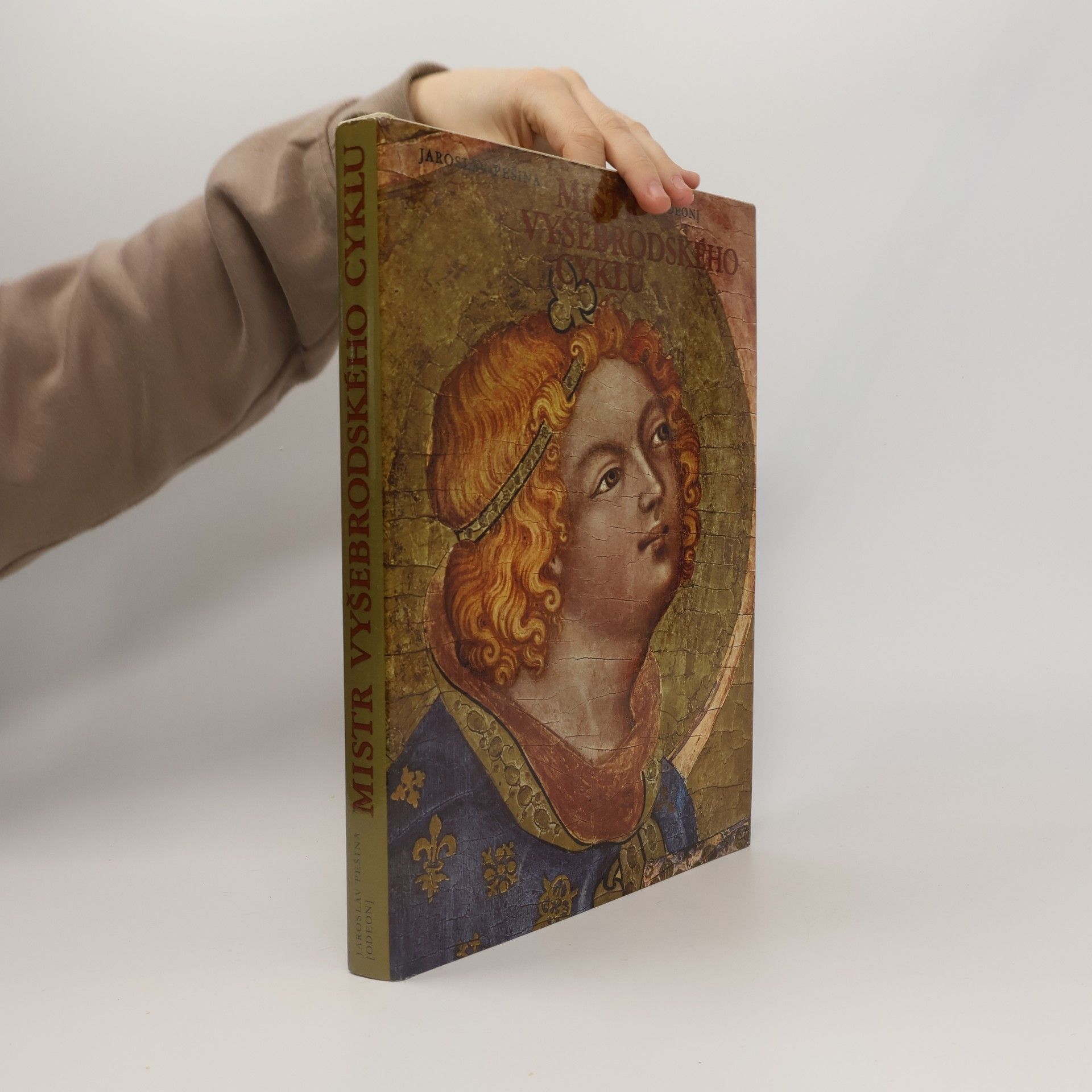 Jaroslav Pešina Mistr Vyšebrodského cyklu