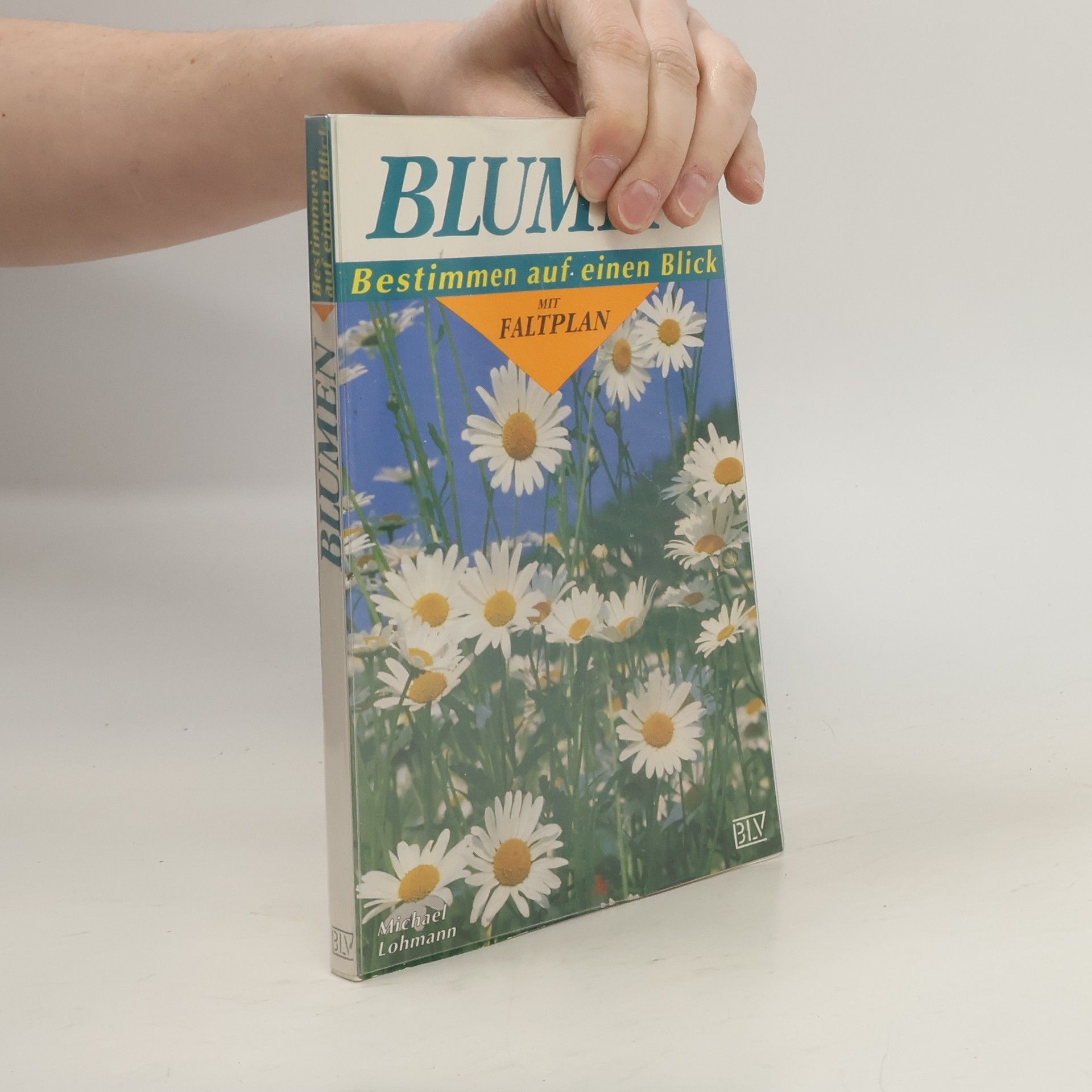 Michael Lohmann Blumen