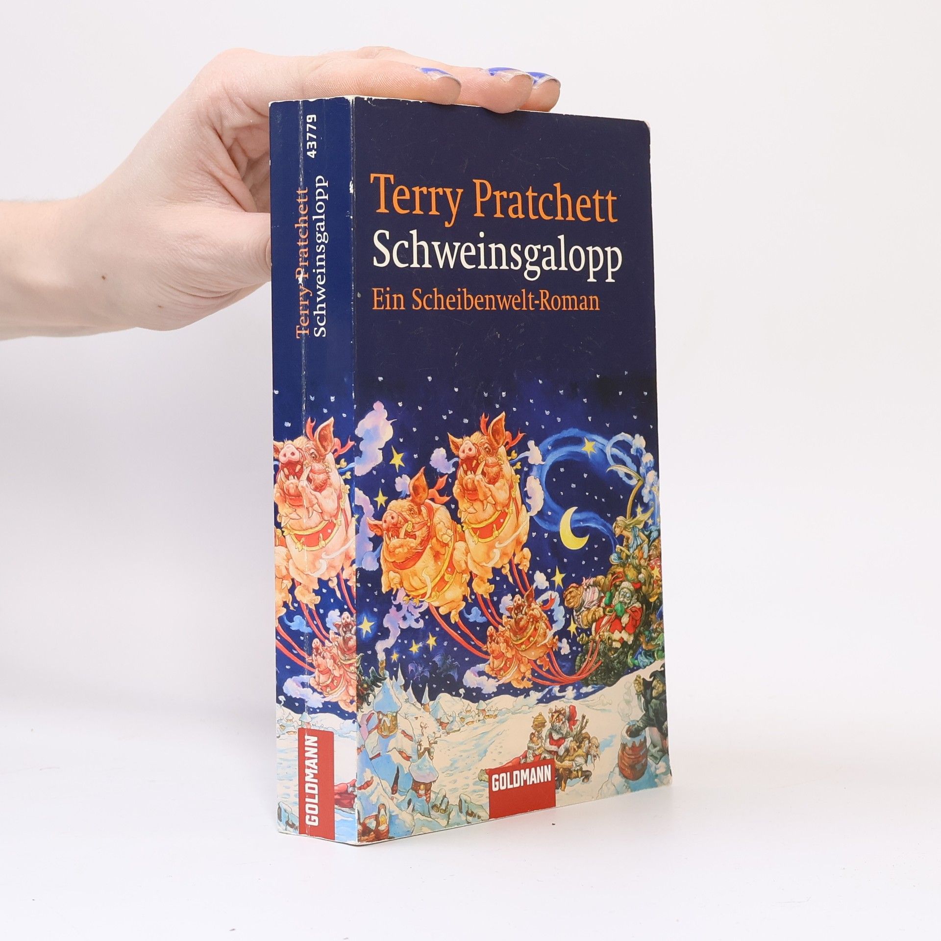 Terry Pratchett Schweinsgalopp