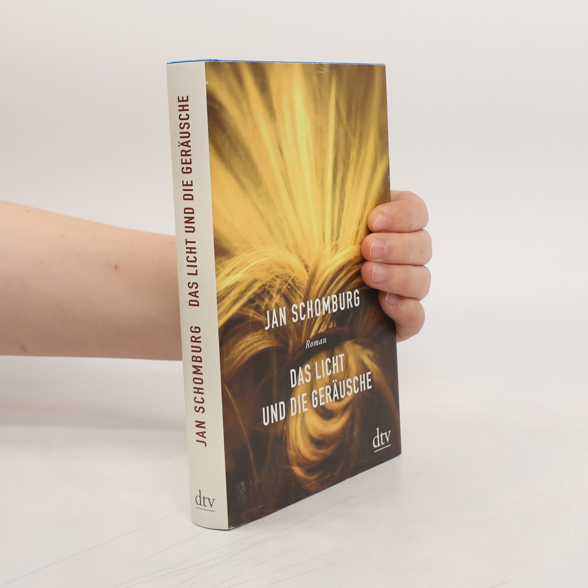 Das Licht und die Geräusche