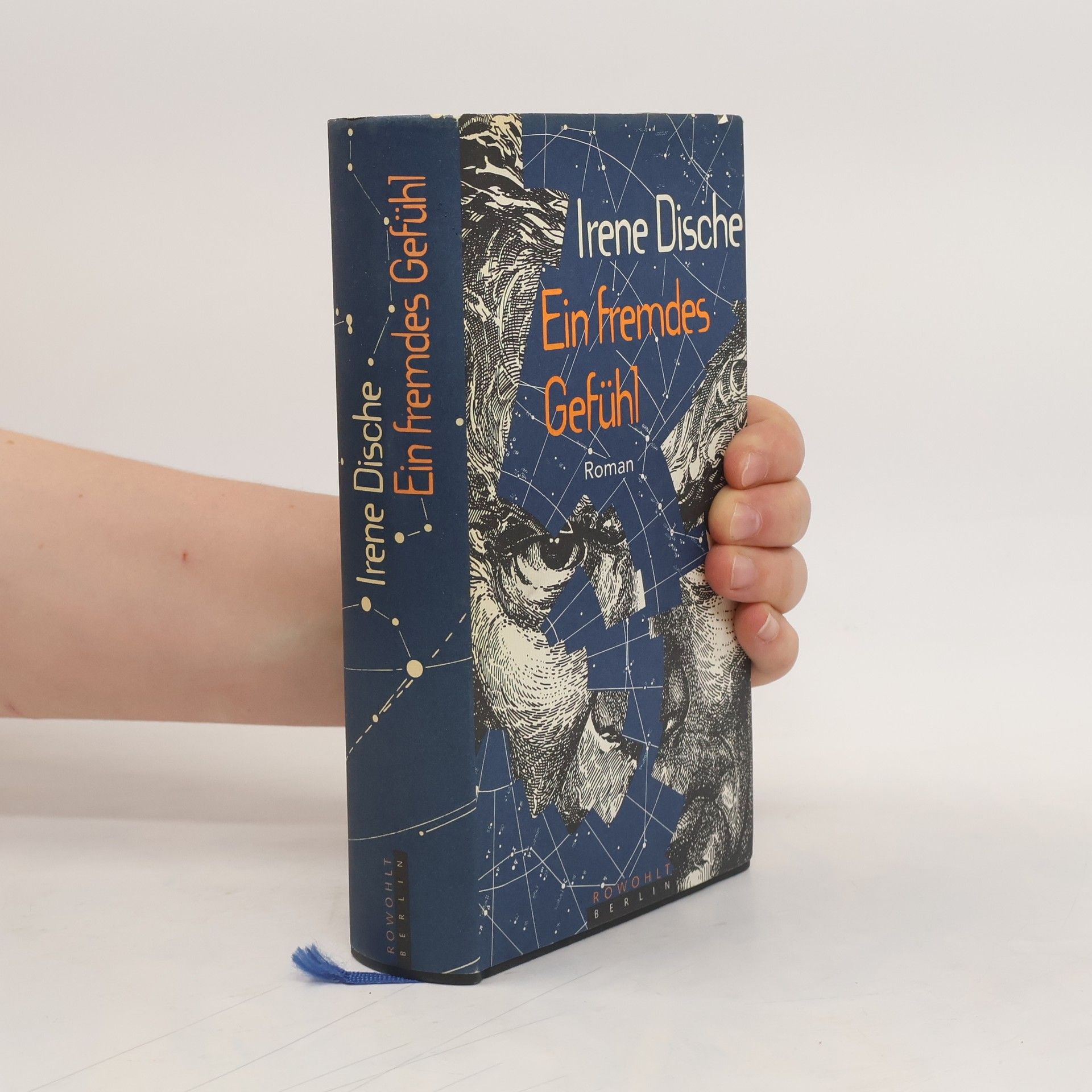 Irene Dische Ein fremdes Gefühl oder Veränderungen über einen Deutschen