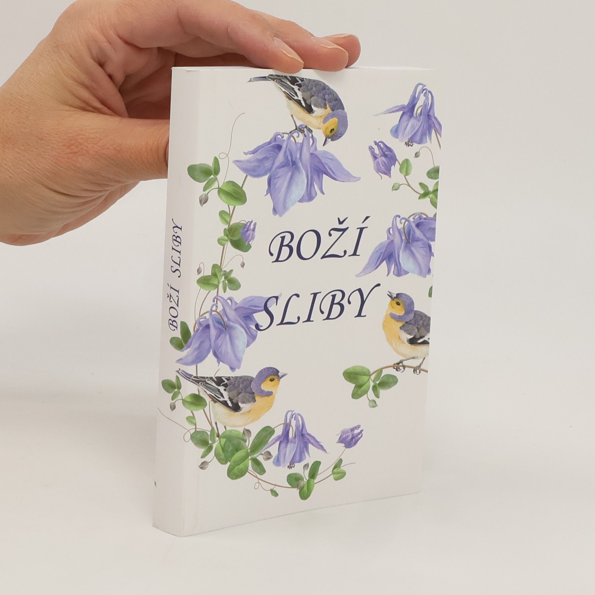 Autorenkollektiv Boží sliby