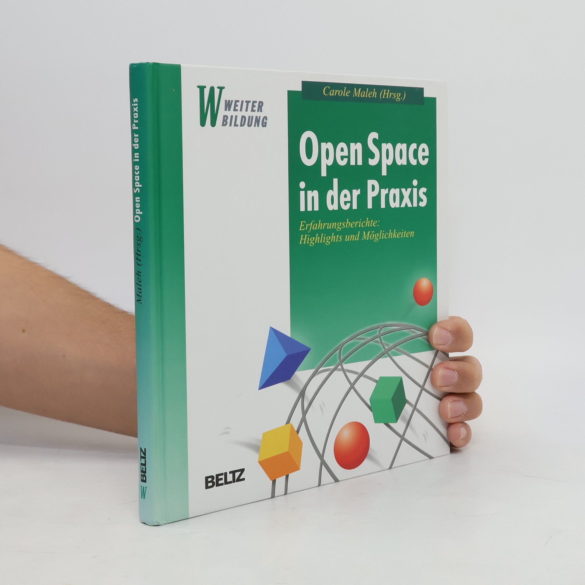 Carole Maleh Open space in der Praxis