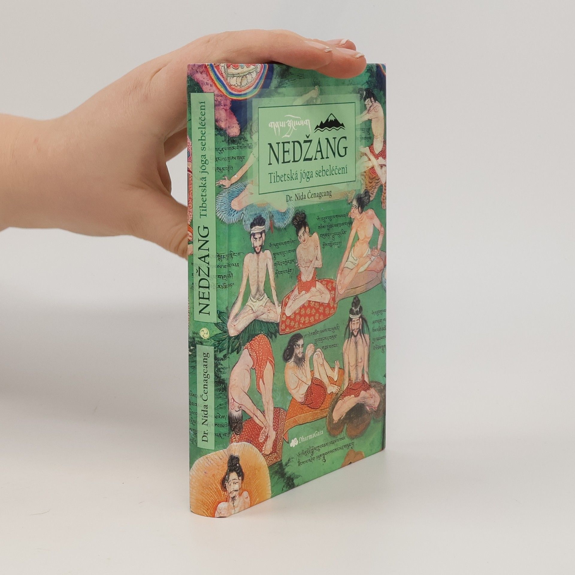 Nida Čenagcang Nedžang. Tibetská jóga sebeléčení