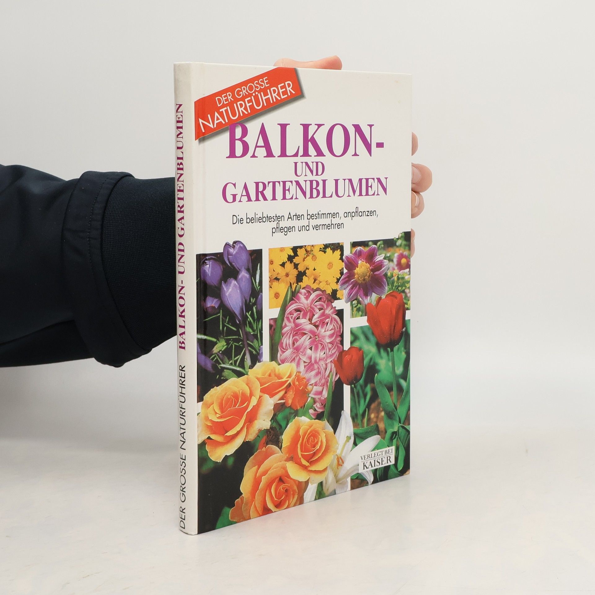 Balkon- und Gartenblumen