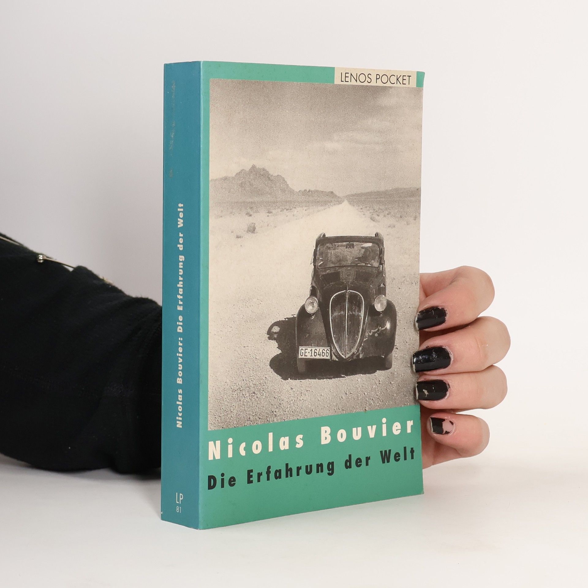 Die Erfahrung der Welt