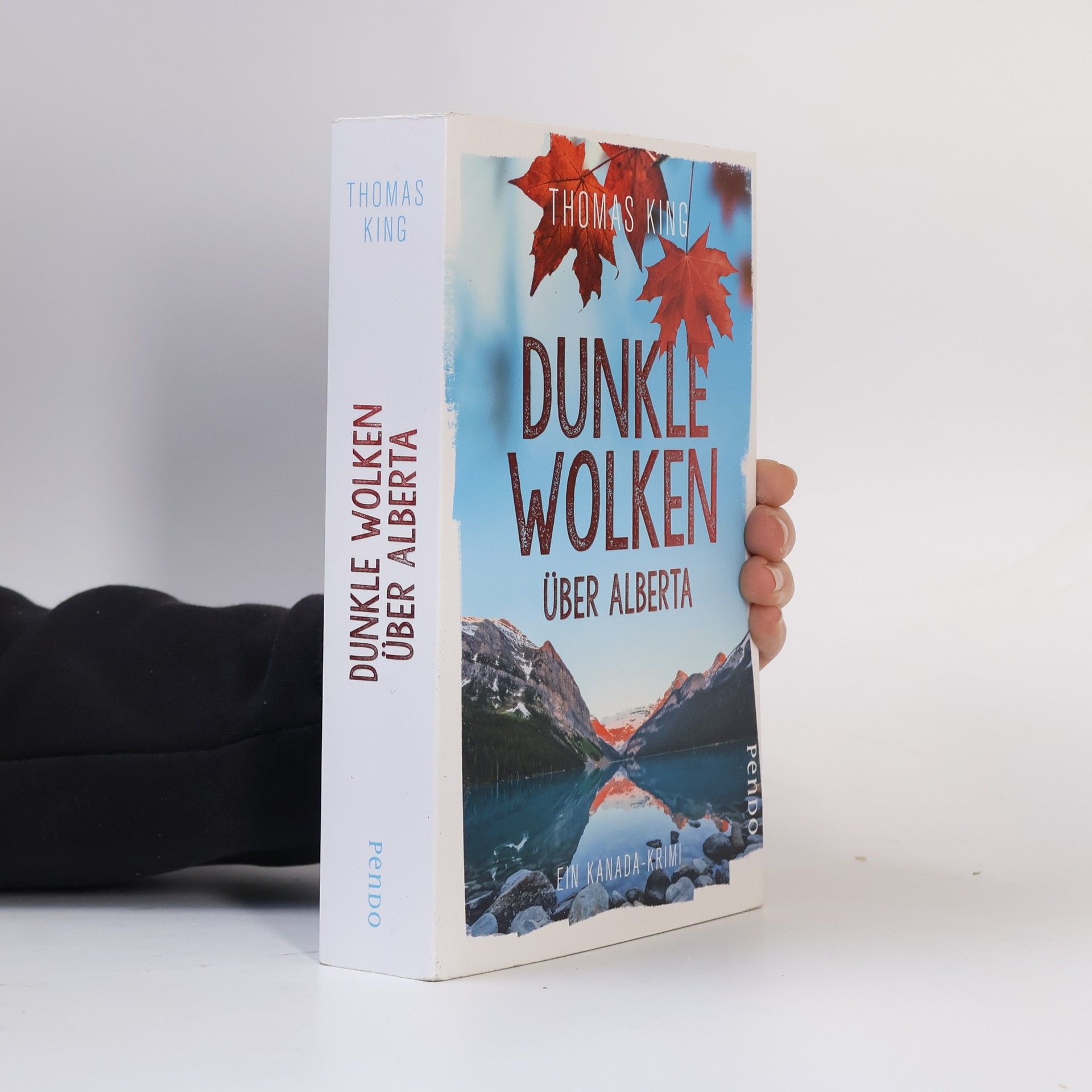 Thomas King Dunkle Wolken über Alberta