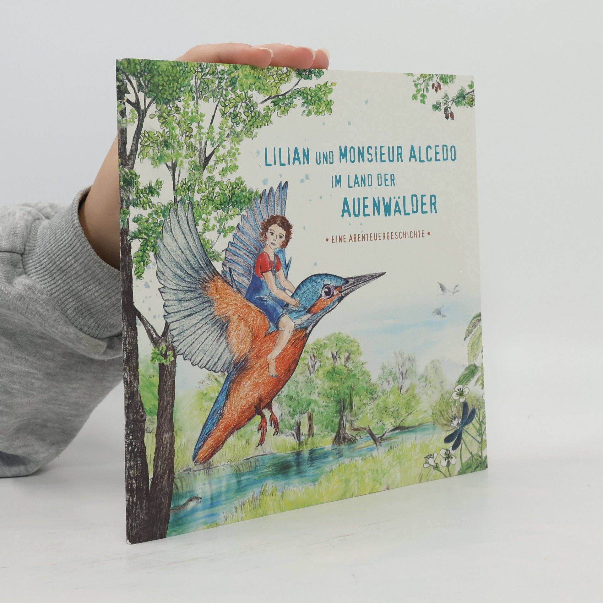 Autorenkollektiv Lilian und Monsieur Alcedo im land der Auenwälder